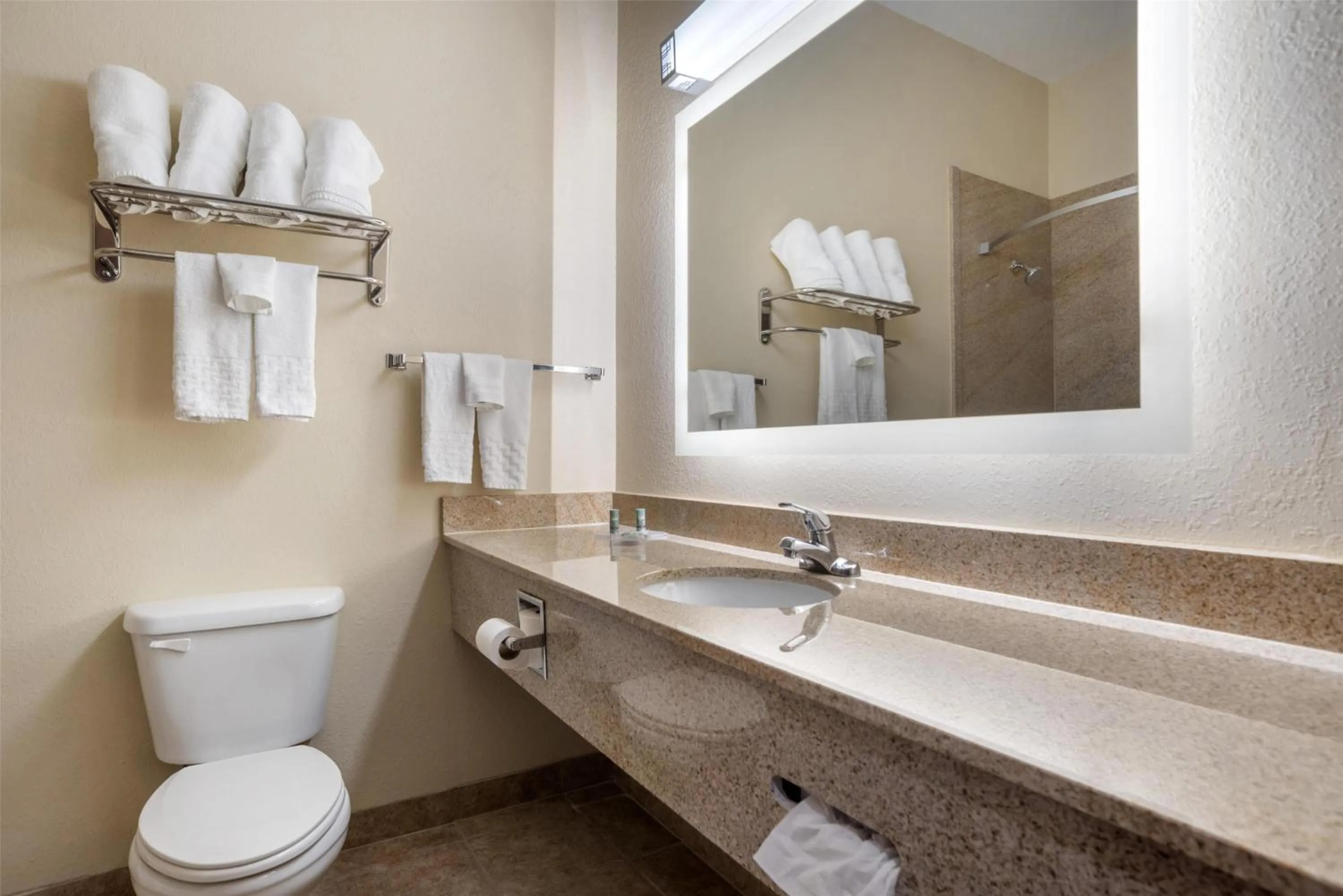 Bathroom in Best Western Opp Inn