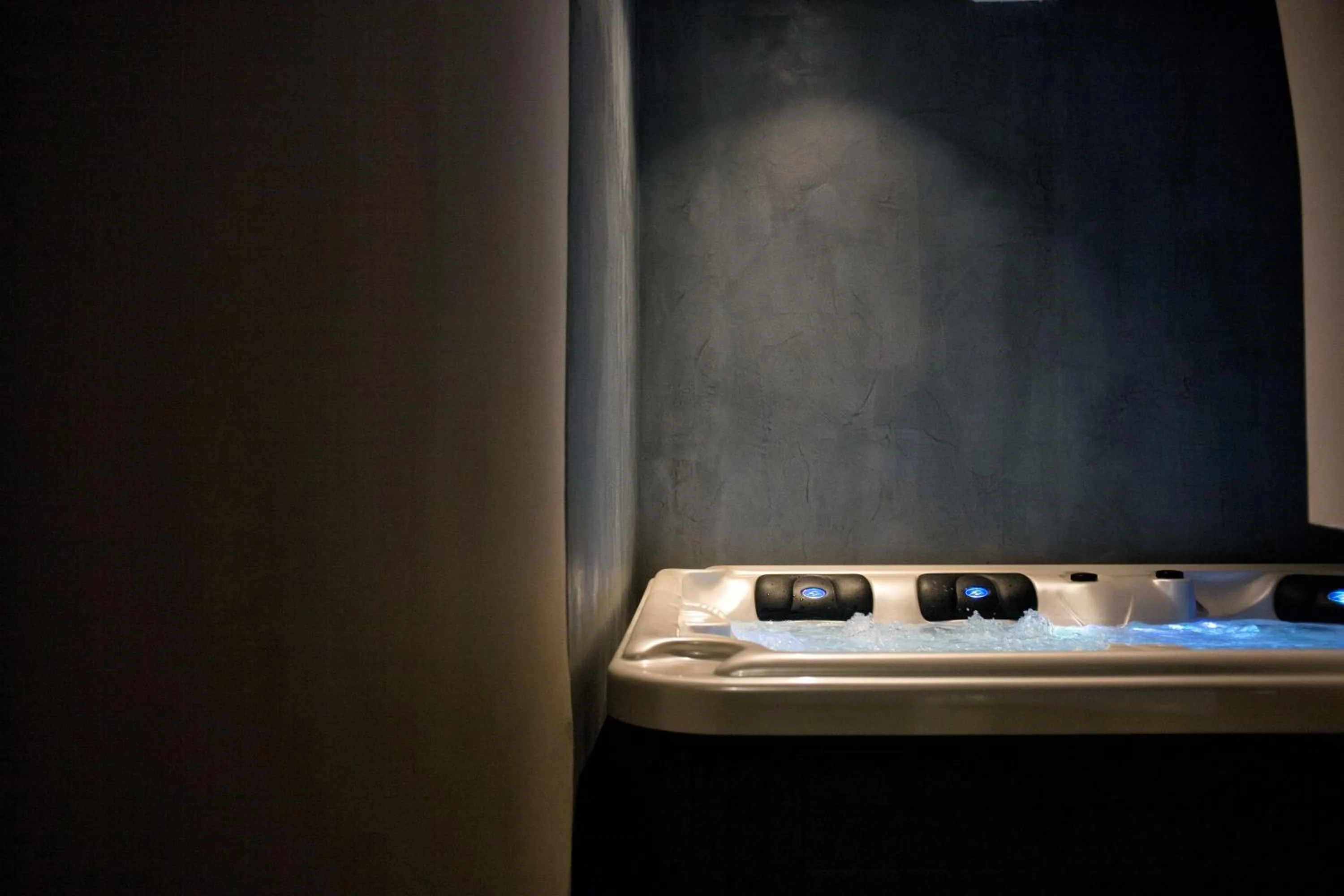 Garden in Villa Galaxy Santorini