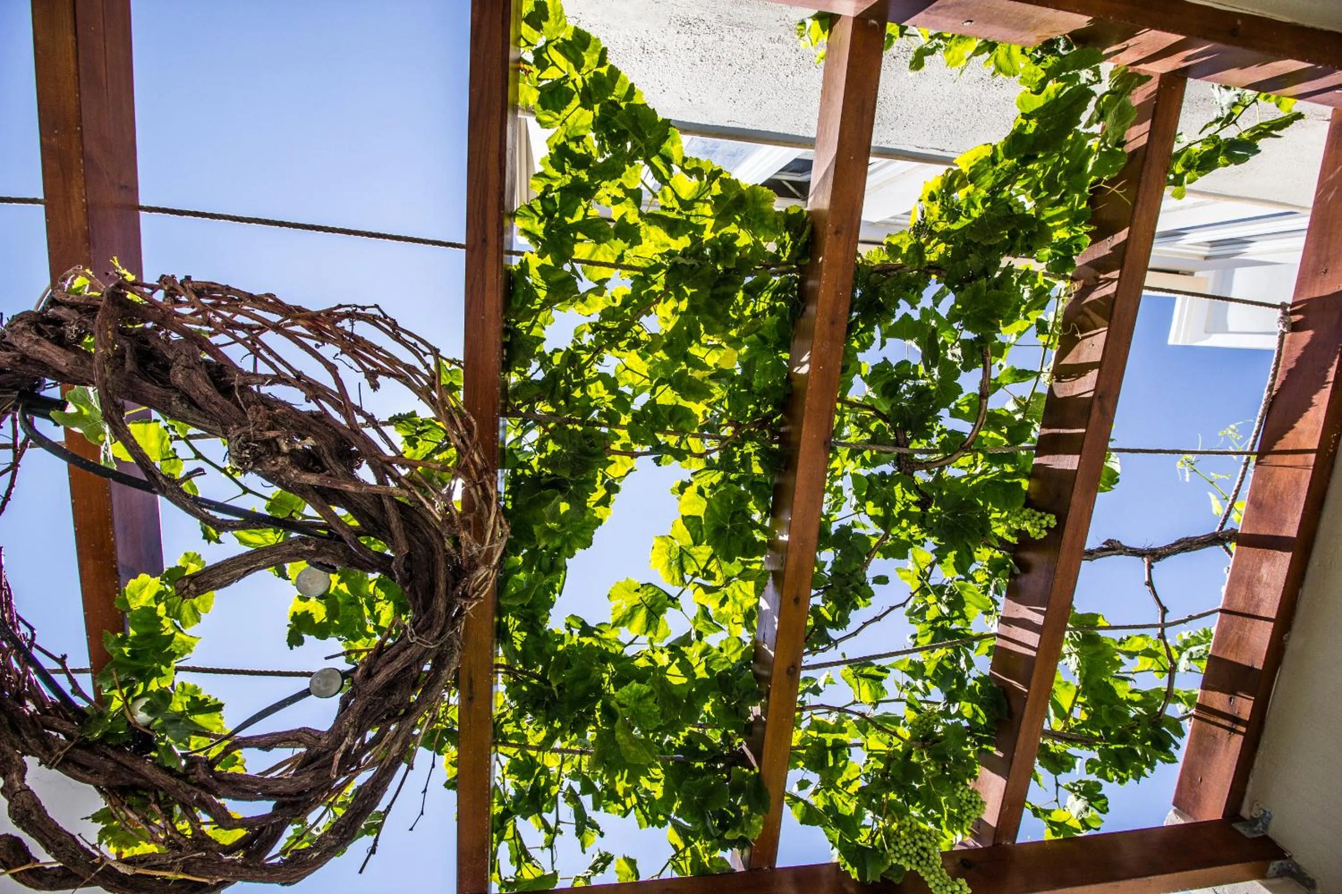 Balcony/Terrace in Villa Galaxy Santorini