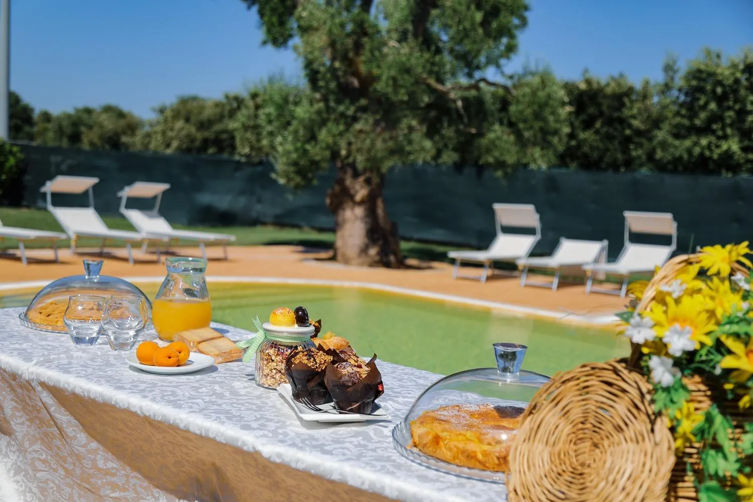 Food and drinks in Hotel Eden