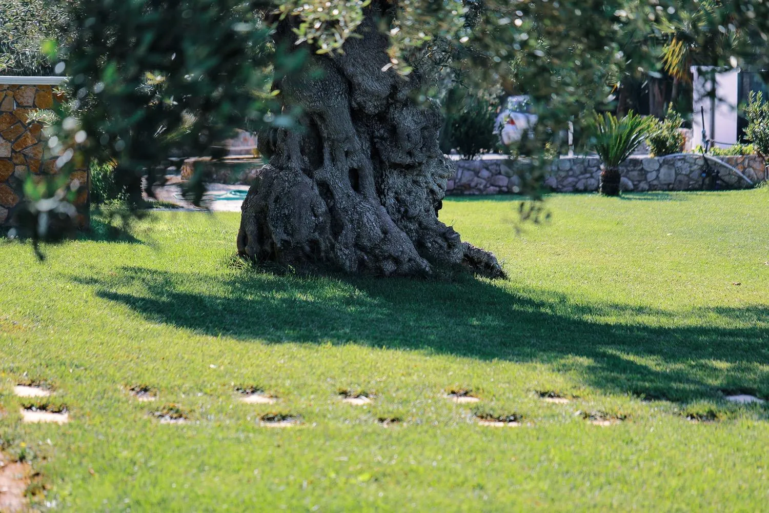 Natural landscape in Hotel Eden