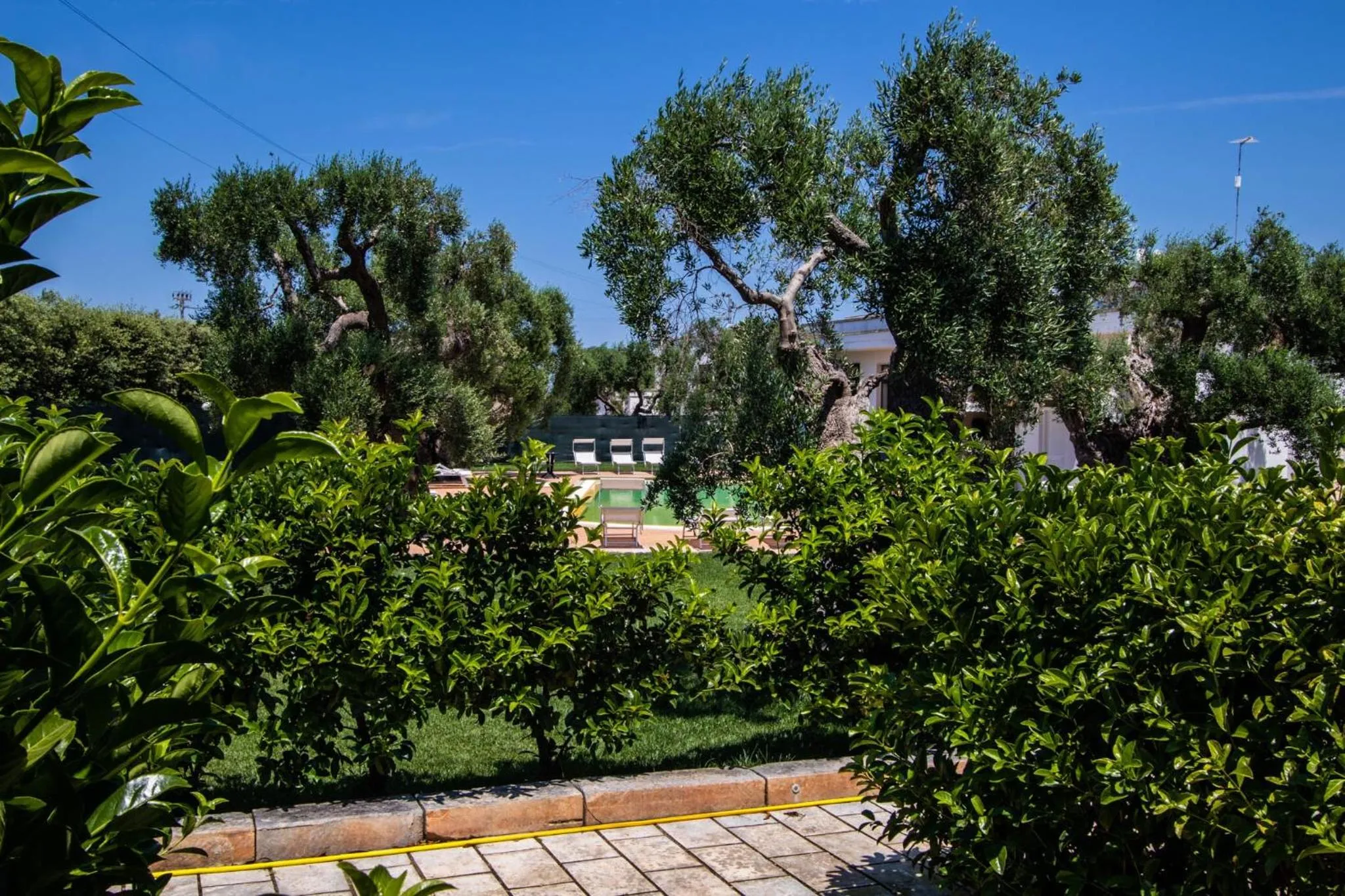 Garden in Hotel Eden