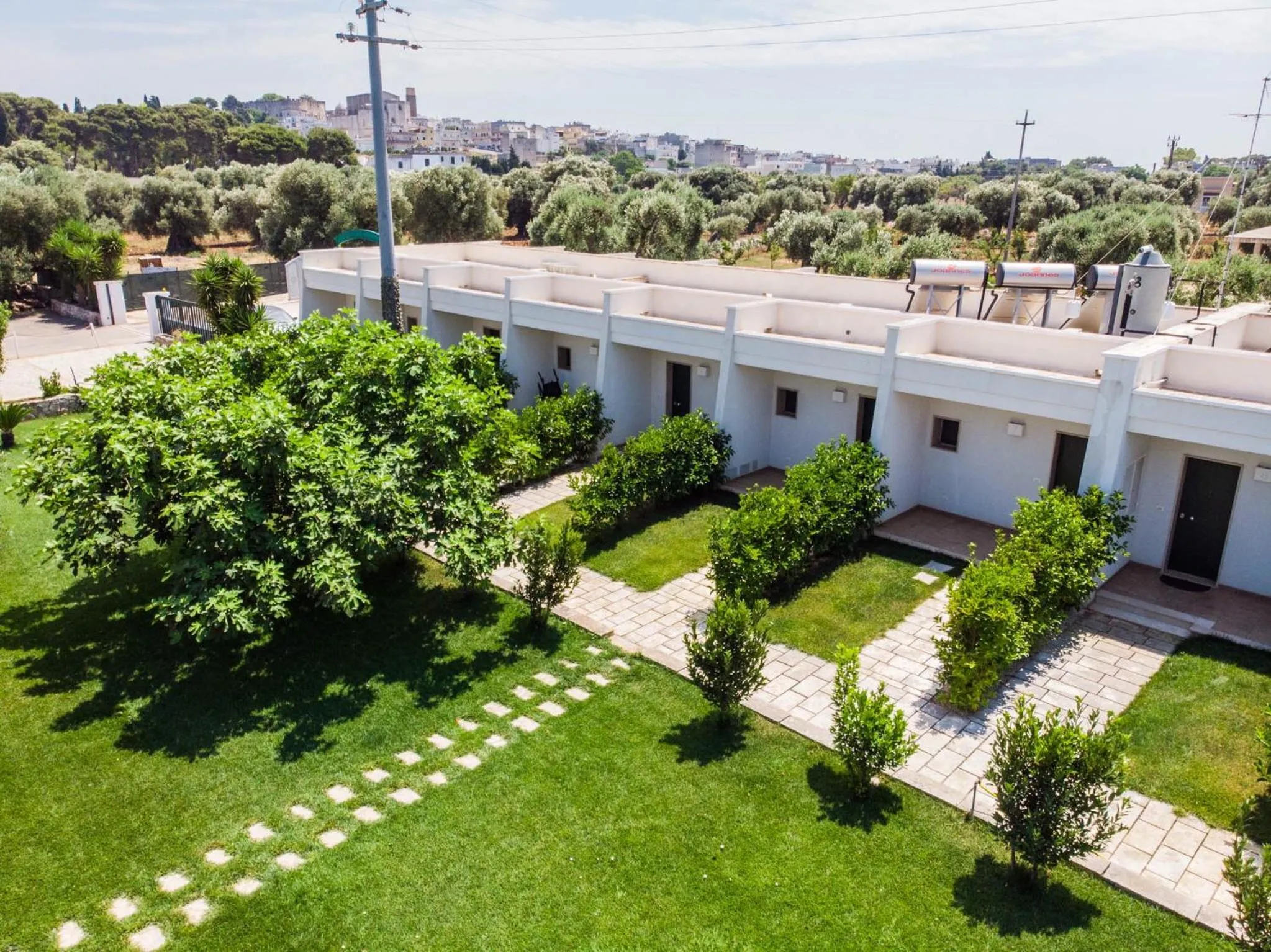 Garden view in Hotel Eden