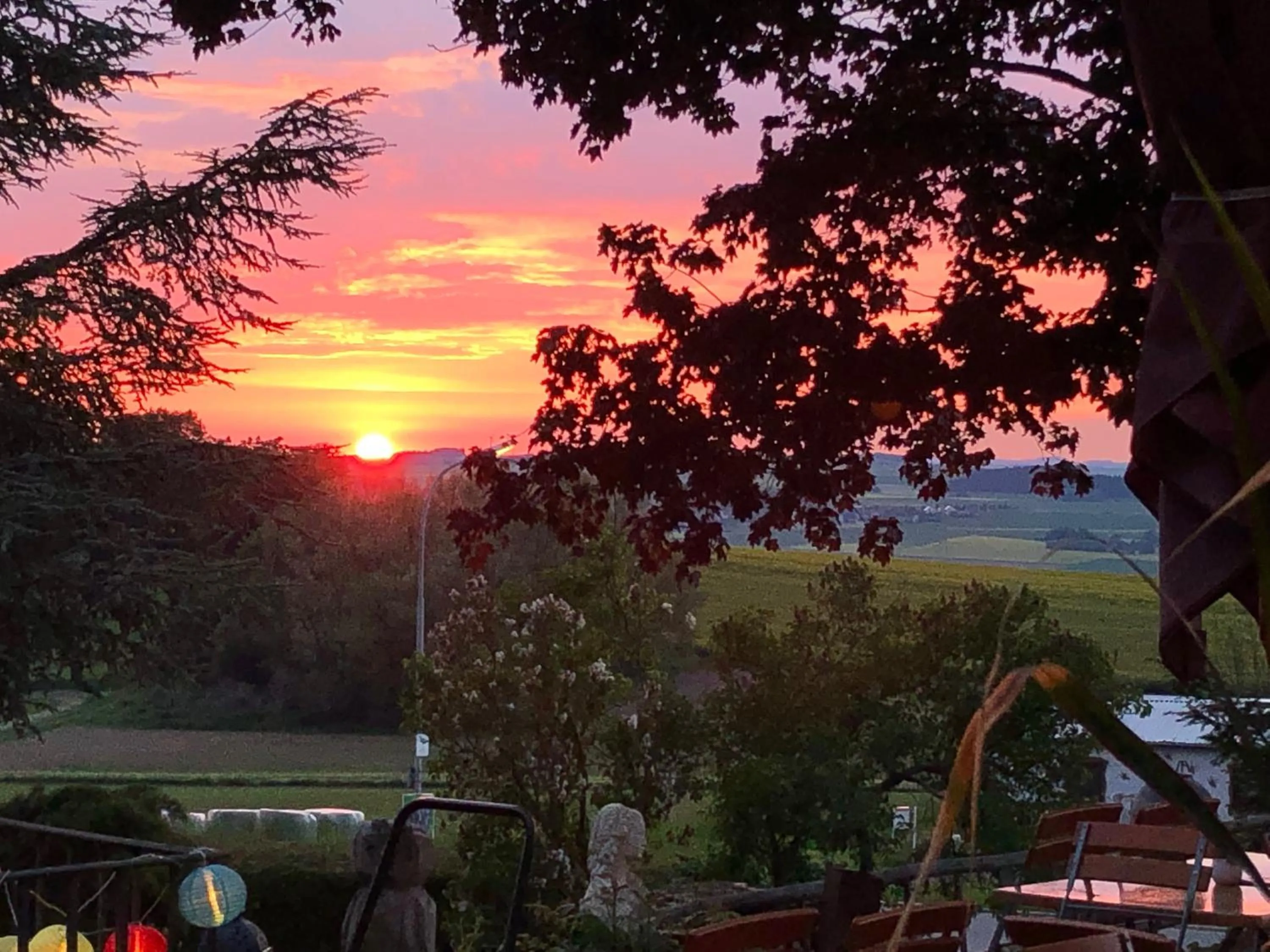 View (from property/room) in Landhaus vor Burg Eltz