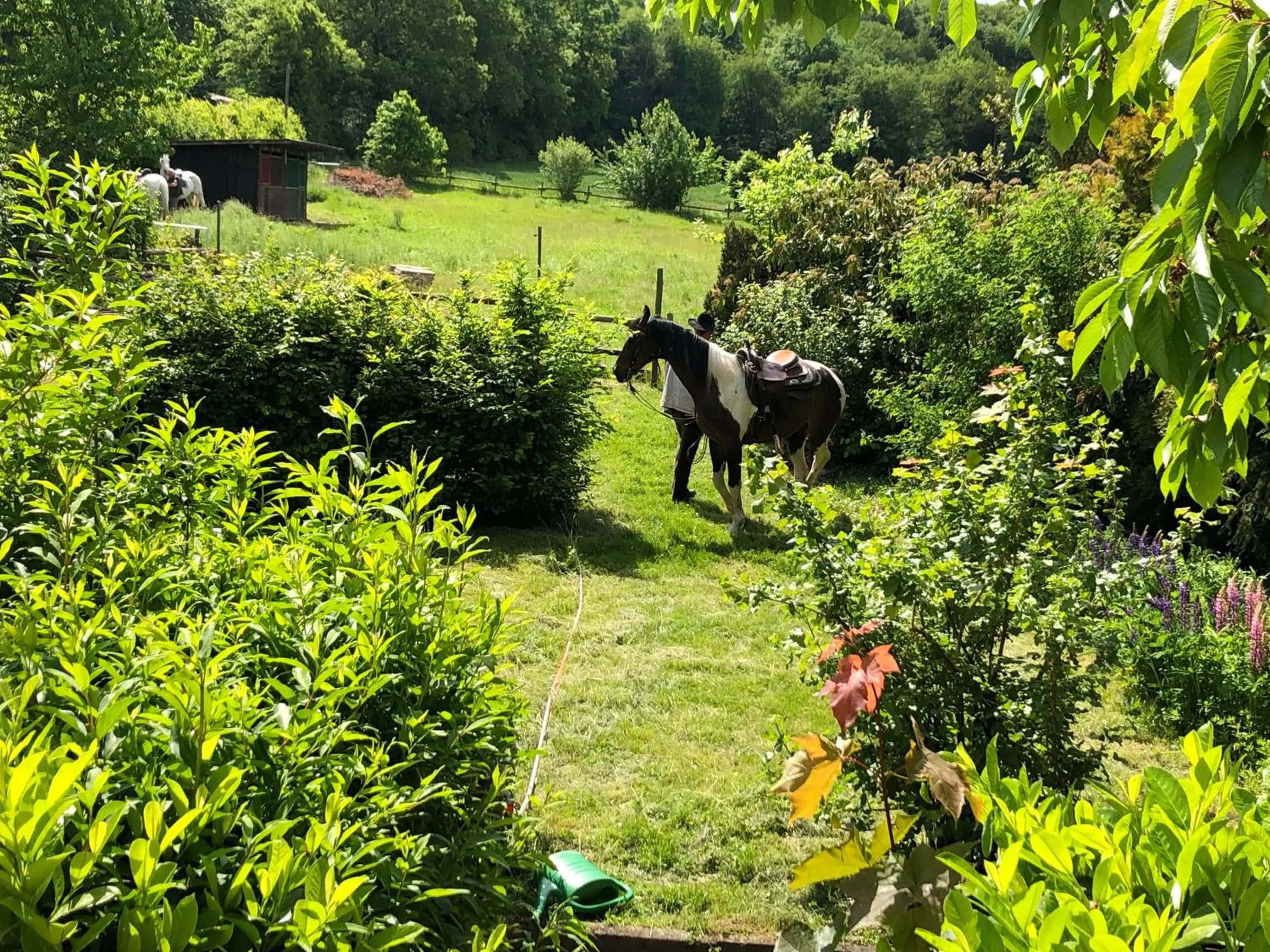Property building in Landhaus vor Burg Eltz