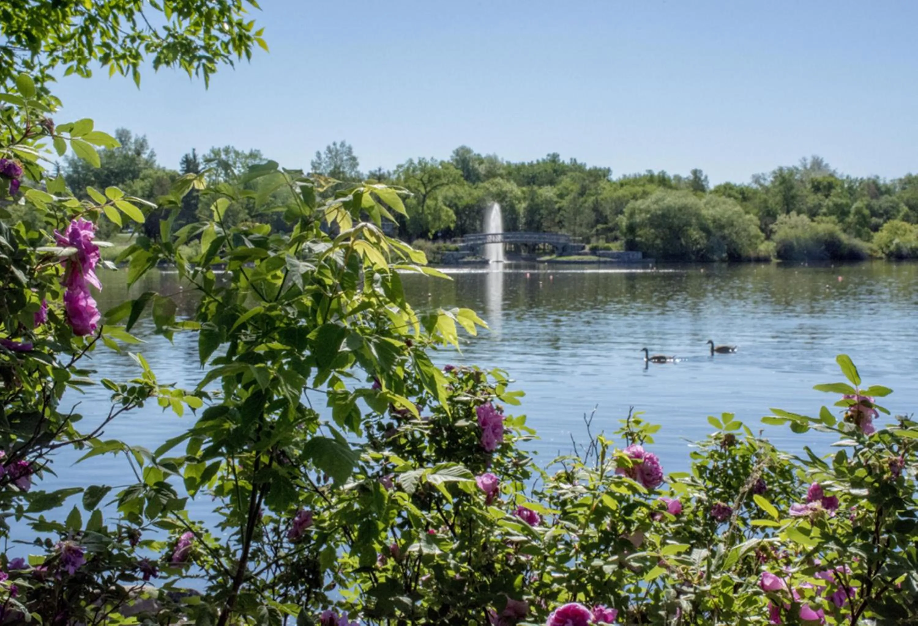 Nearby landmark in Holiday Inn Express & Suites-Regina-South by IHG