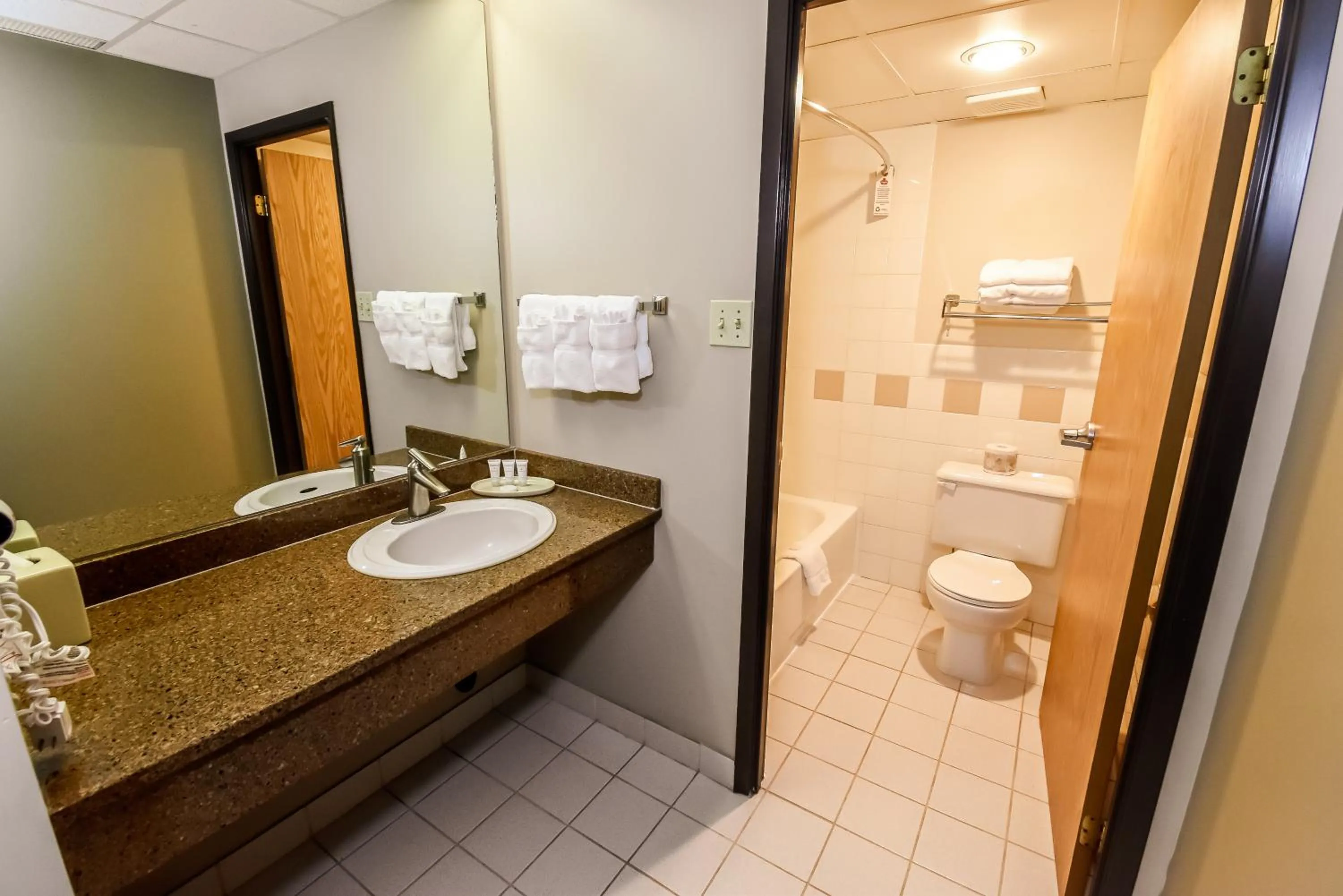 Bathroom in Canad Inns Destination Centre Fort Garry