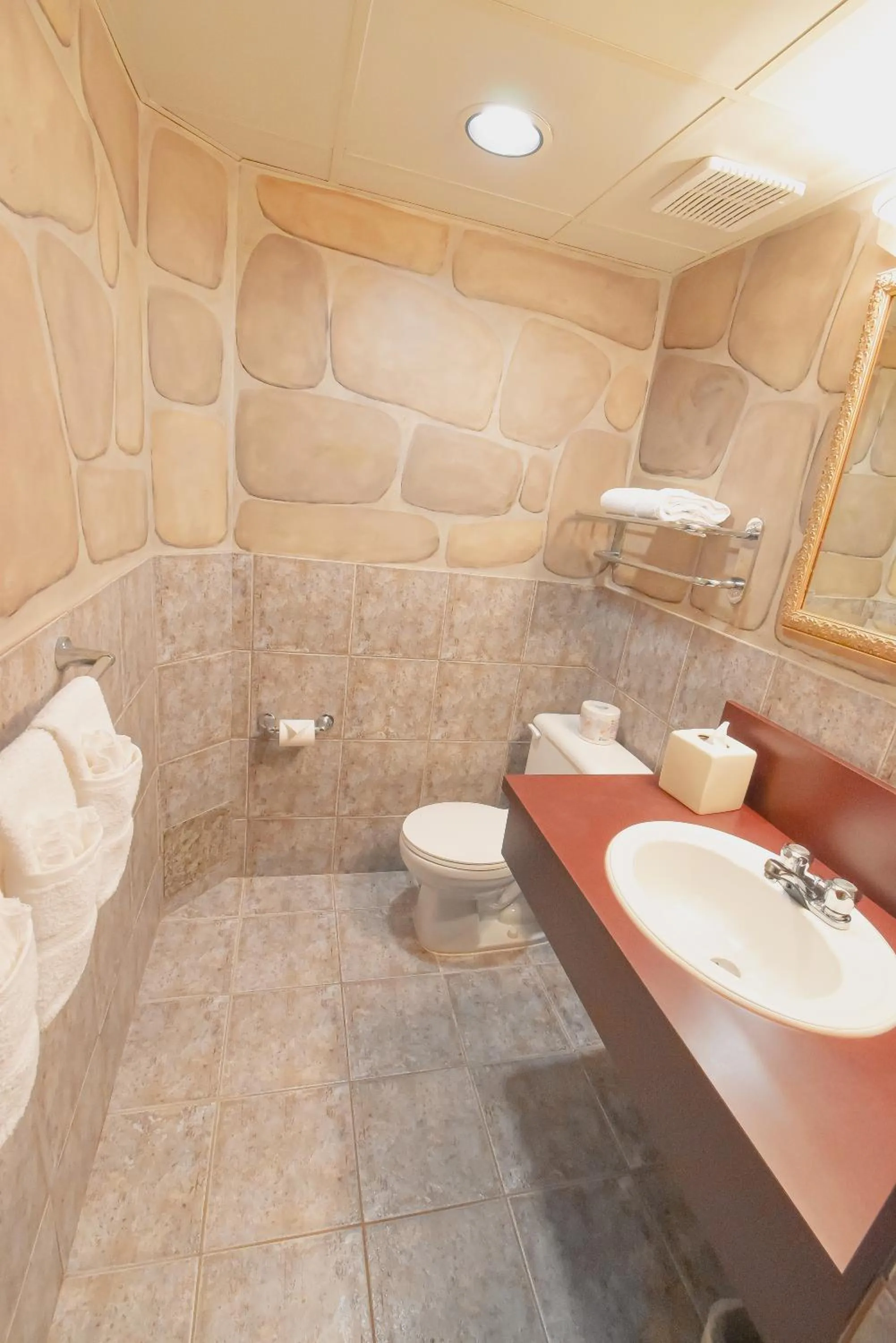 Bathroom in Canad Inns Destination Centre Fort Garry