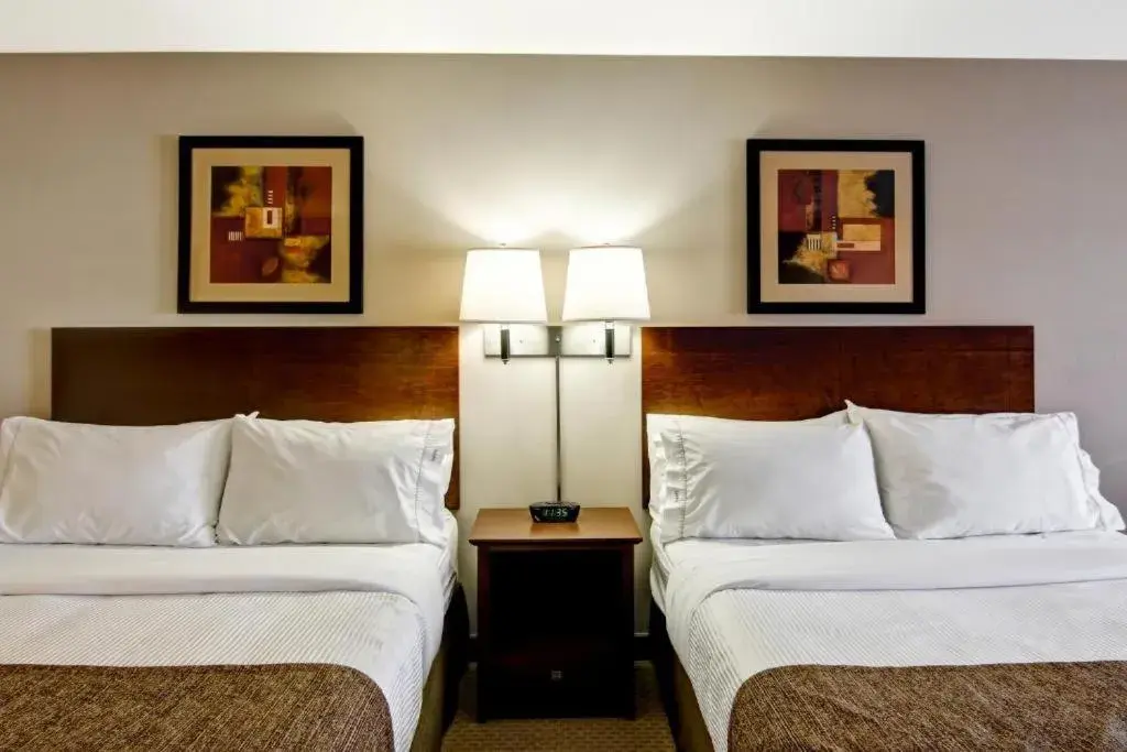 King Room with Two King Beds in Canalta Oyen King Room with Two King Beds in Canalta Oyen