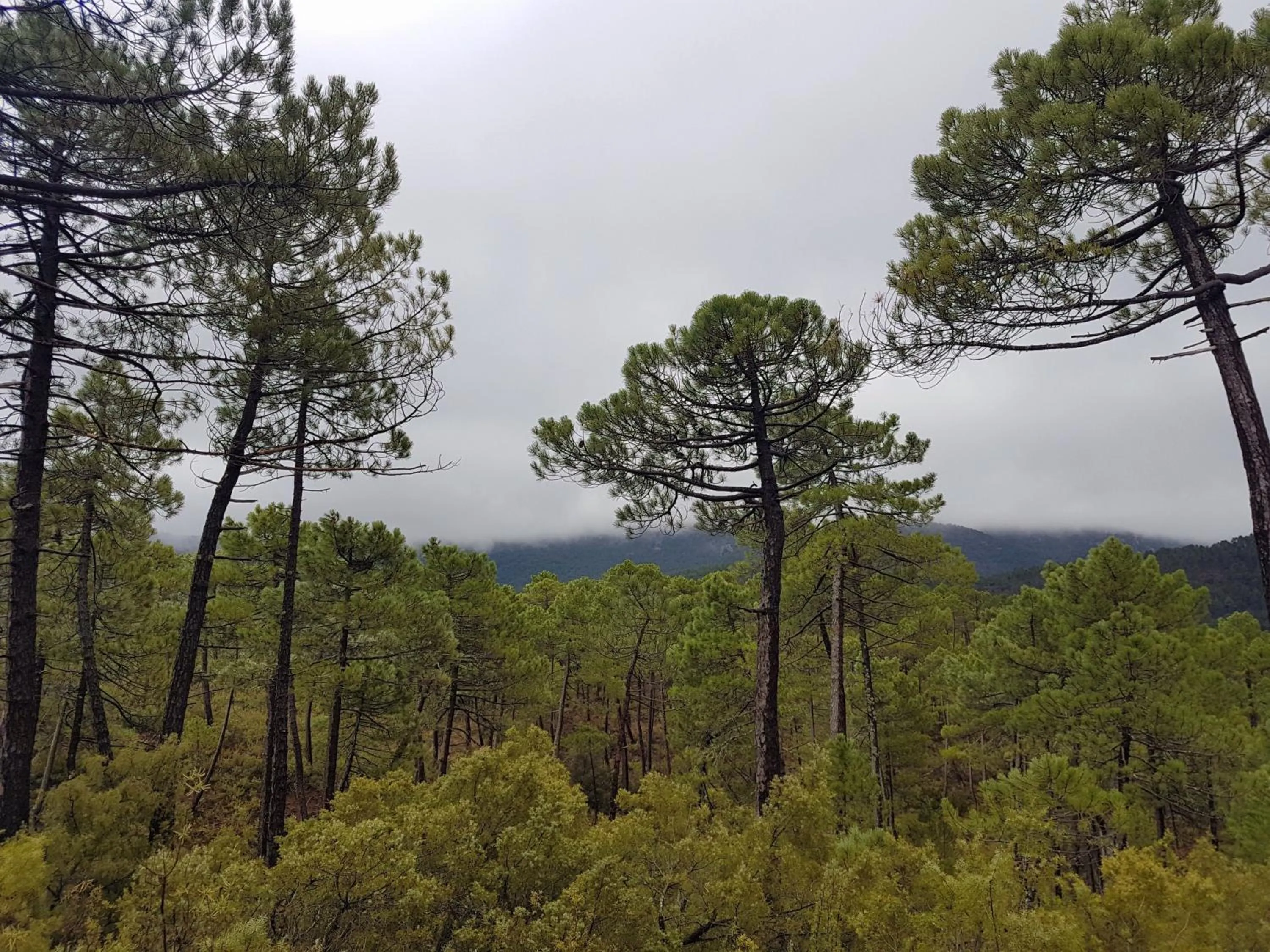 La cabaña del lago en ZAFIRO LAGUNAZO Parque Natural del Río Mundo
