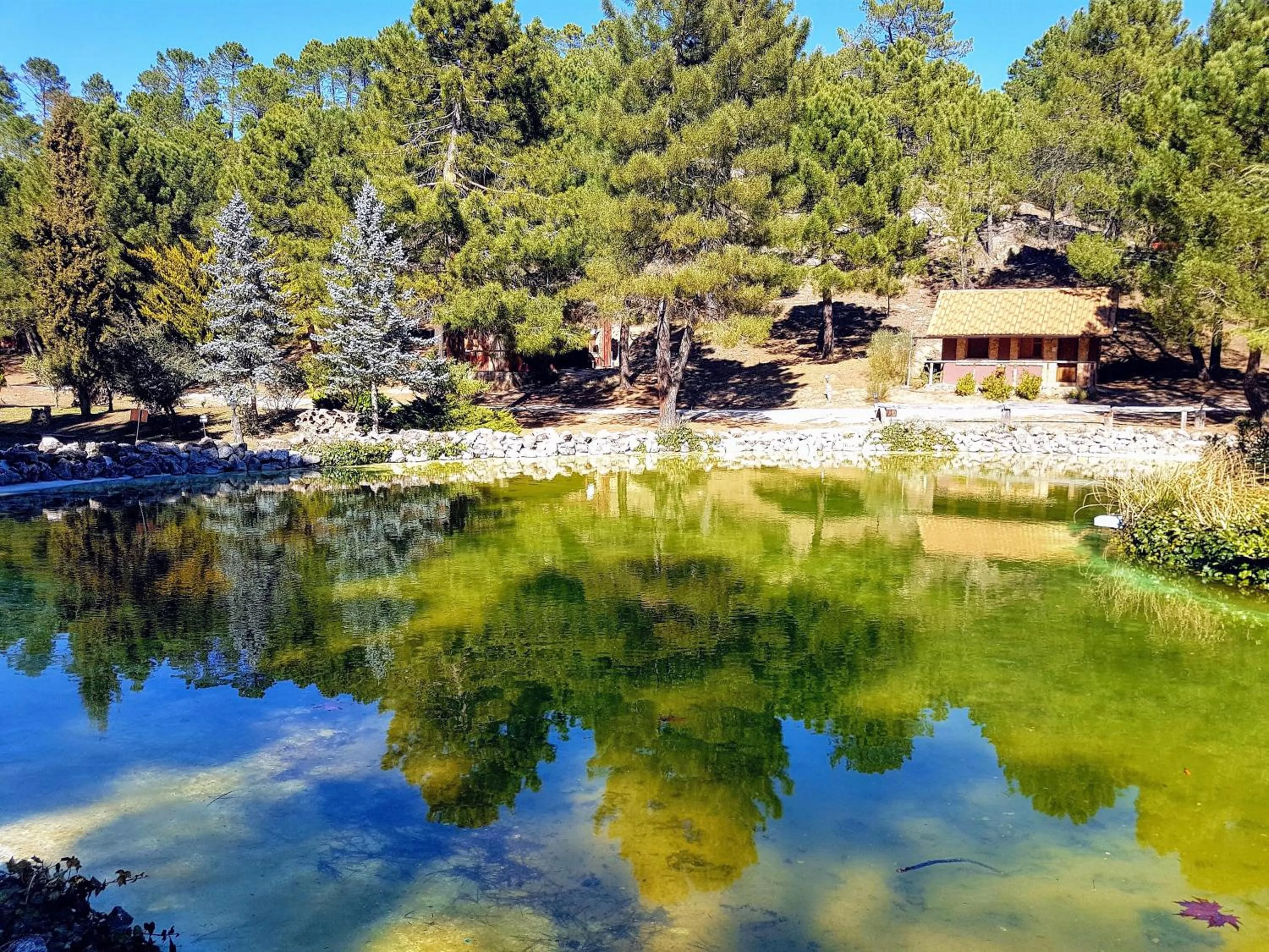 La cabaña del lago en ZAFIRO LAGUNAZO Parque Natural del Río Mundo