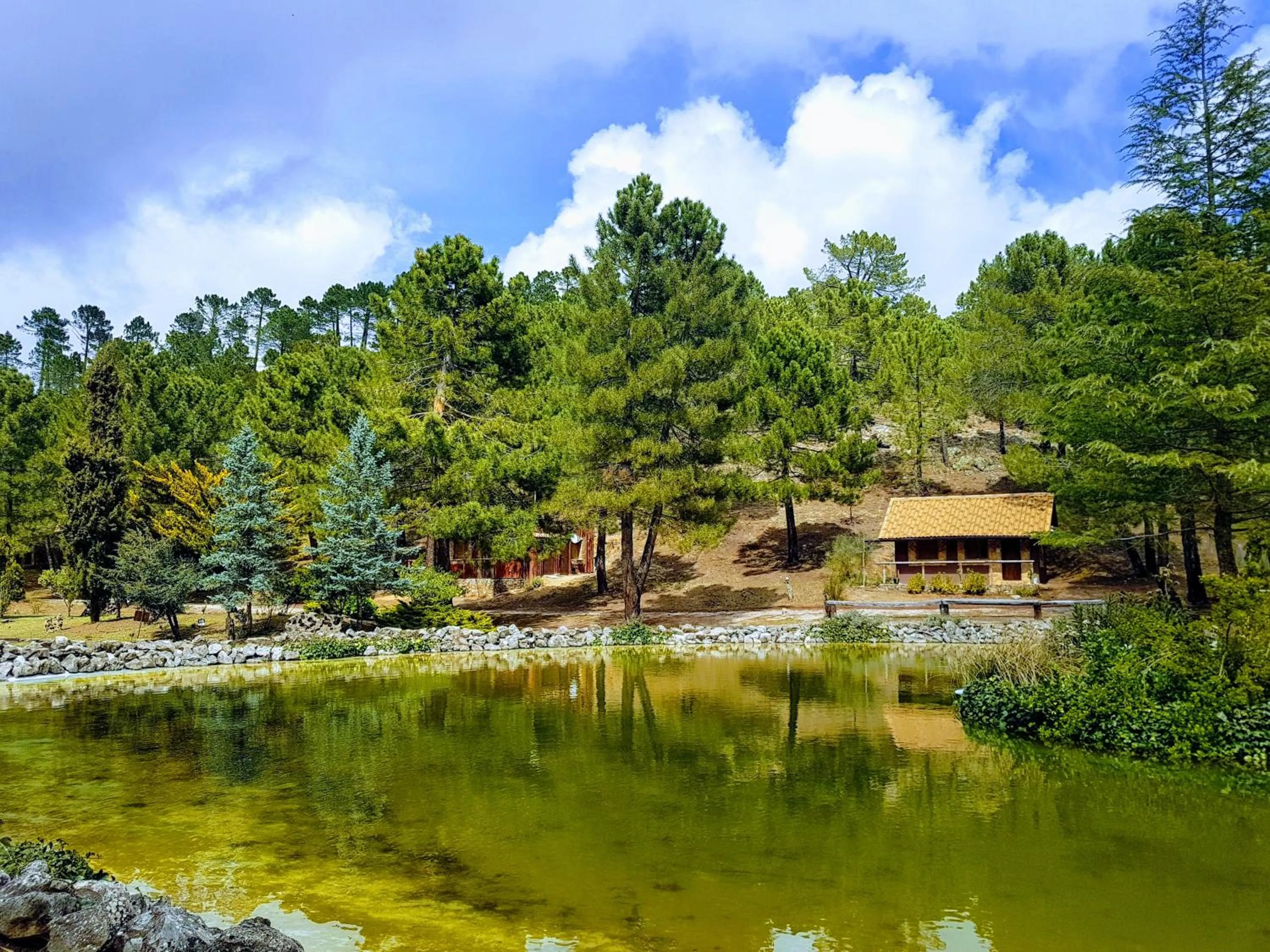 Garden view in La cabaña del lago en ZAFIRO LAGUNAZO Parque Natural del Río Mundo