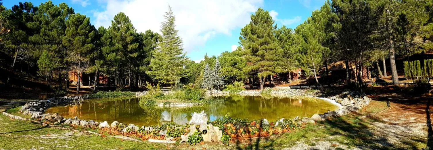 Garden in La cabaña del lago en ZAFIRO LAGUNAZO Parque Natural del Río Mundo