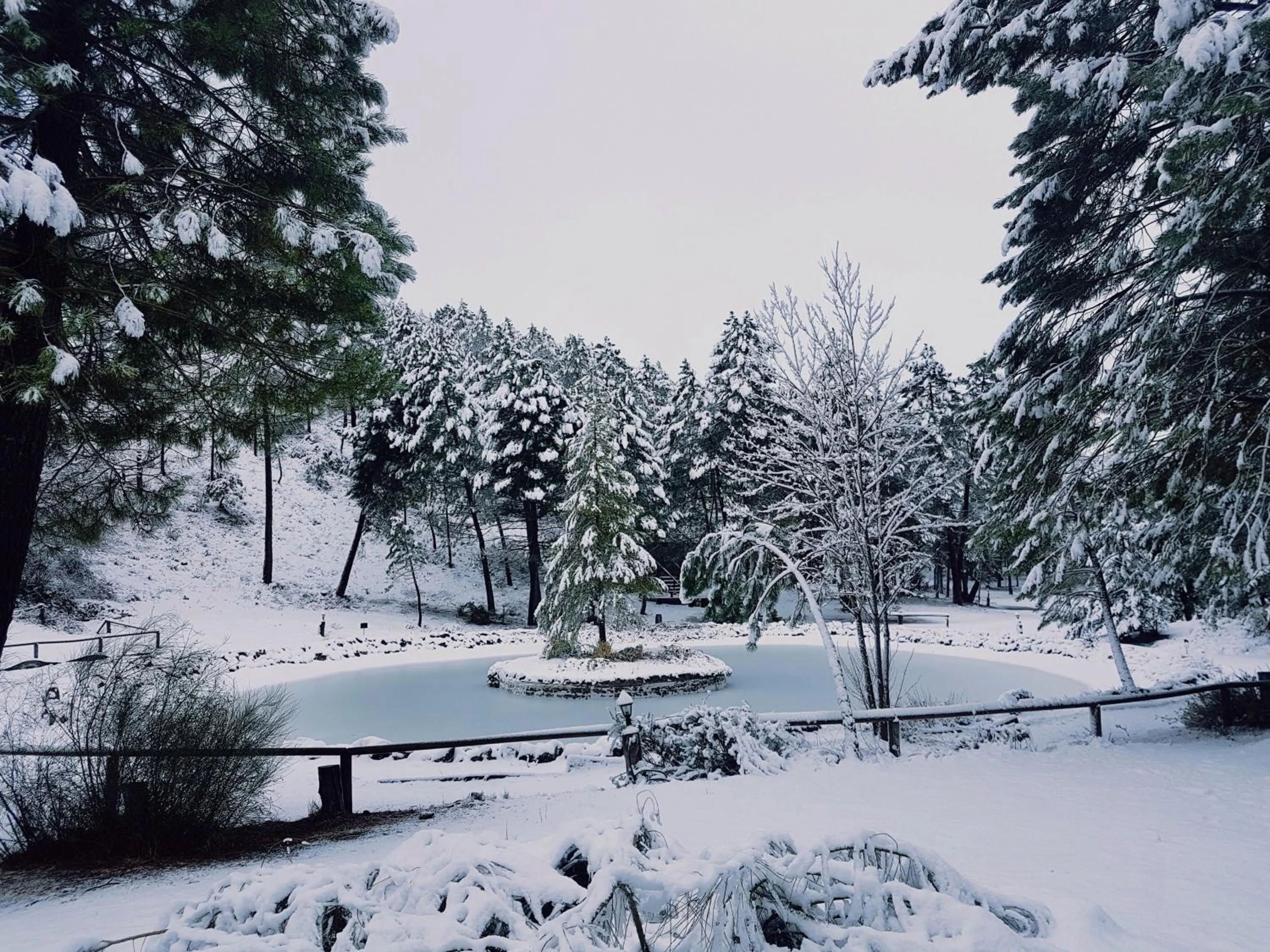 La cabaña del lago en ZAFIRO LAGUNAZO Parque Natural del Río Mundo