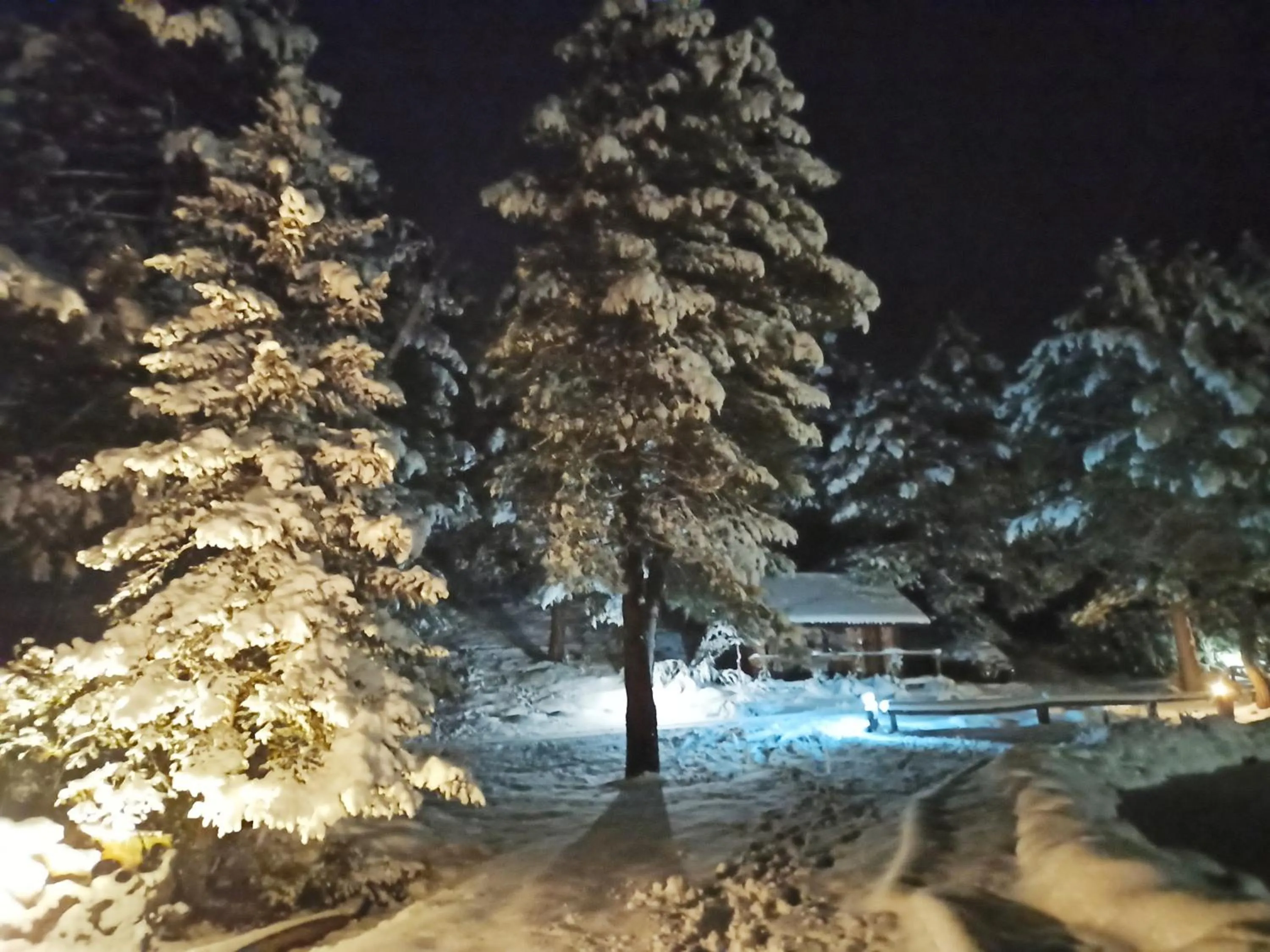 La cabaña del lago en ZAFIRO LAGUNAZO Parque Natural del Río Mundo