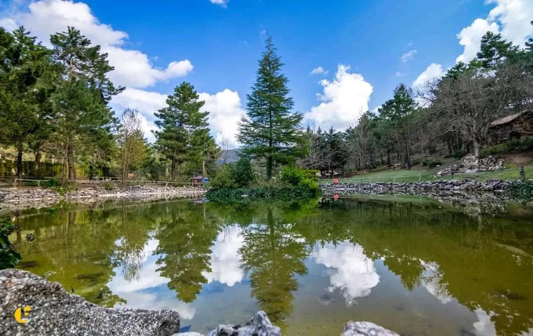 Lake view in La cabaña del lago en ZAFIRO LAGUNAZO Parque Natural del Río Mundo