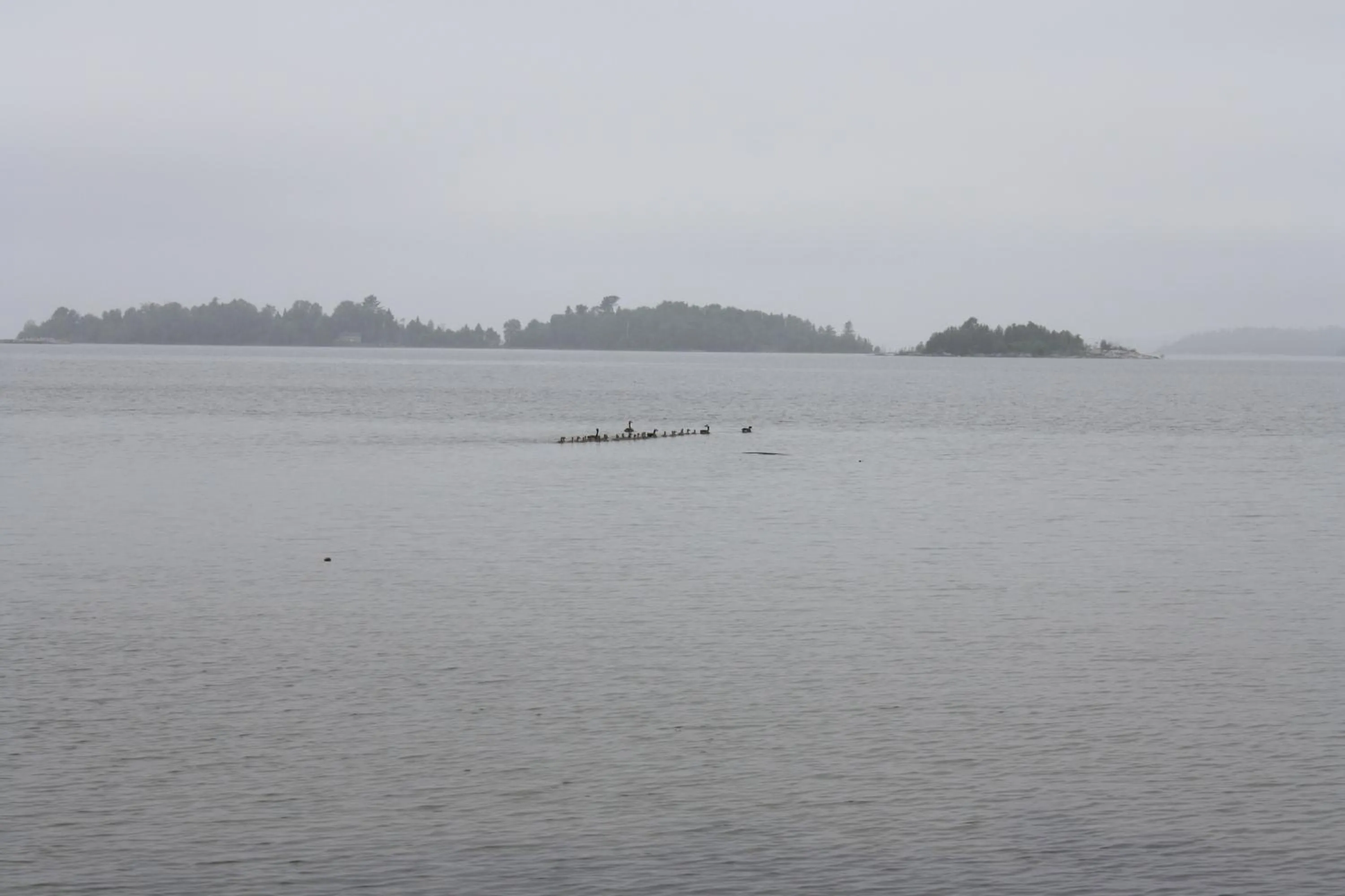 View (from property/room) in Carolyn Beach Inn