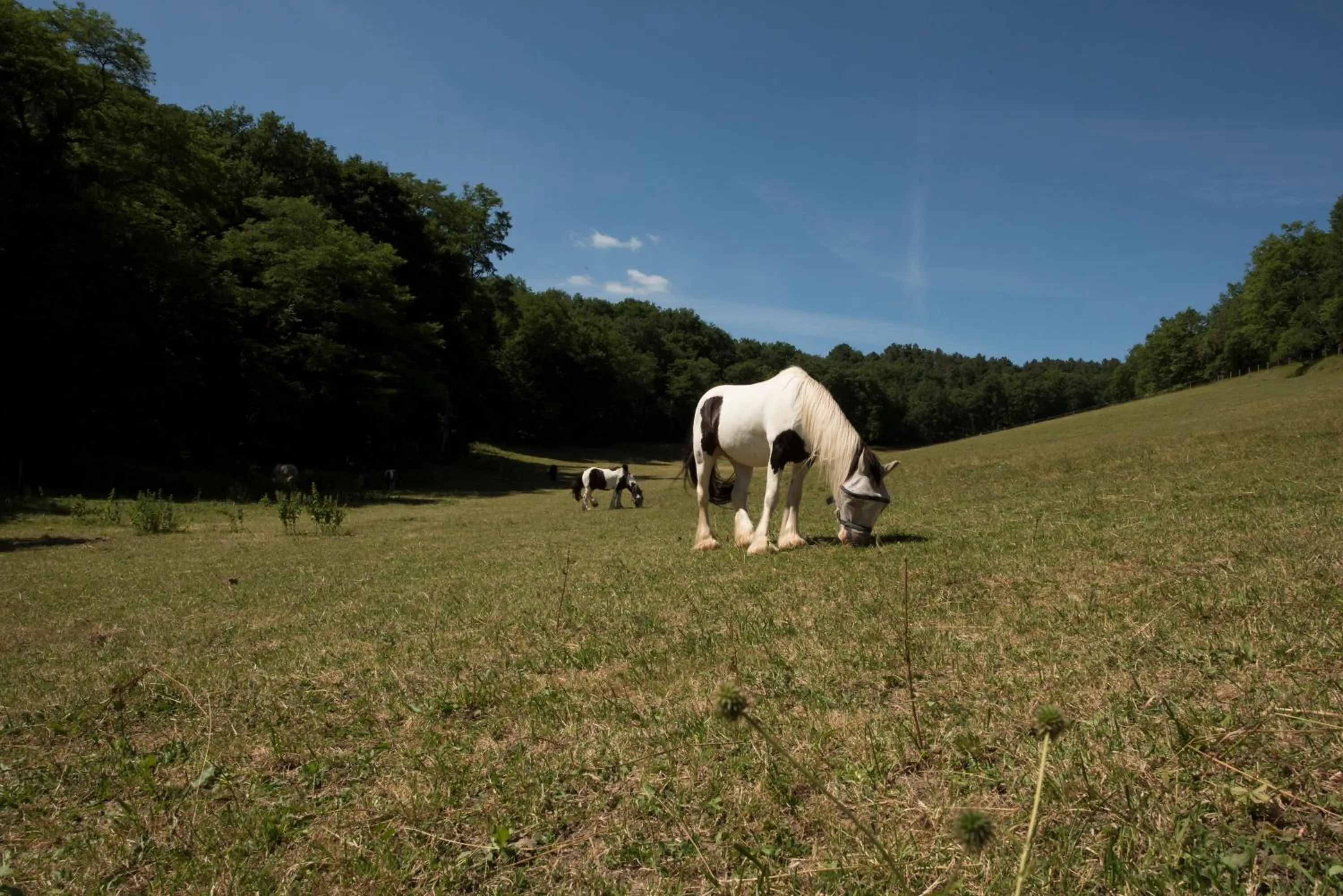 Property building in Château de Valette