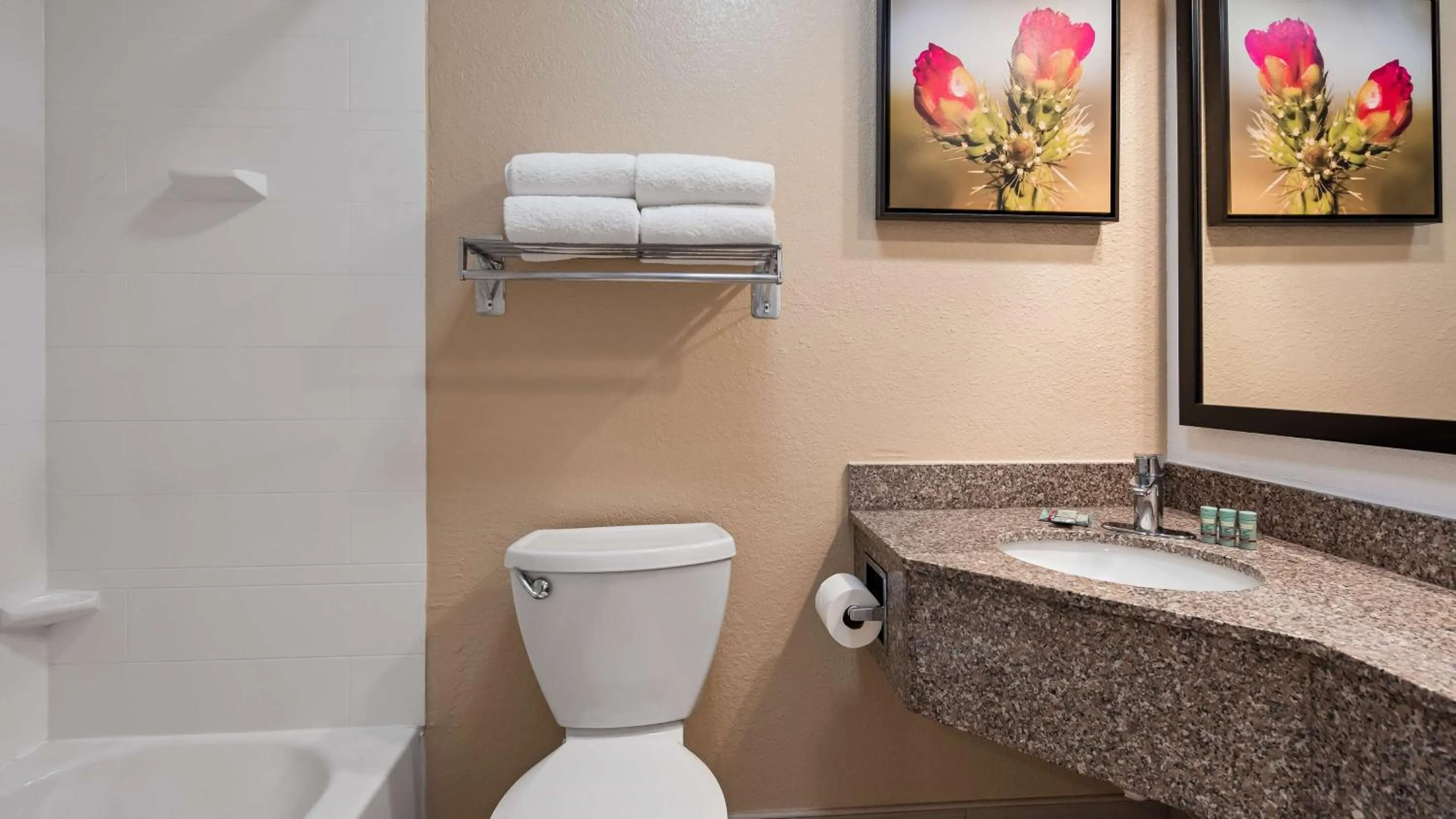 Bathroom in Best Western Santa Rosa Inn