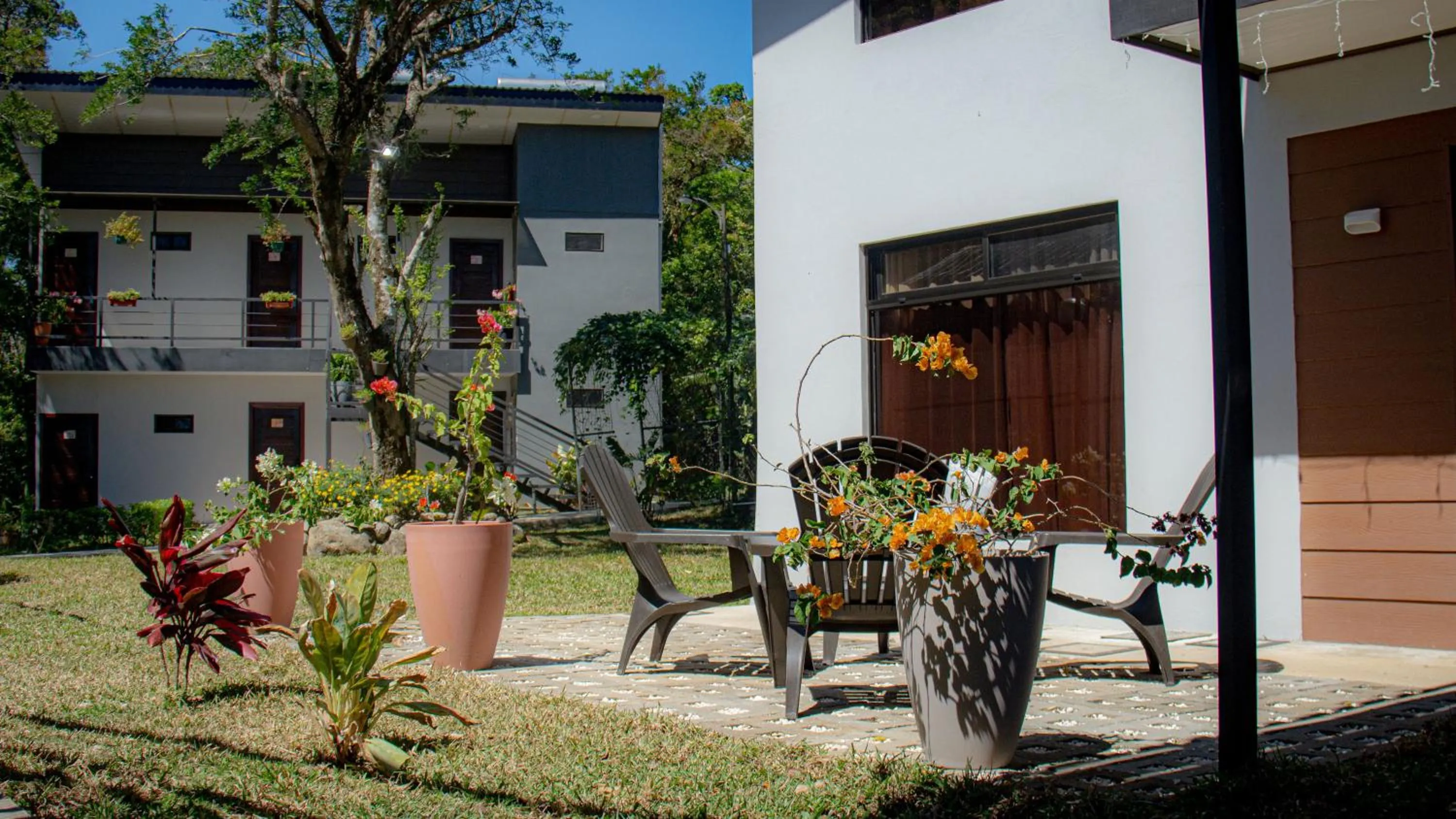Patio in Calathea Hotel Monteverde