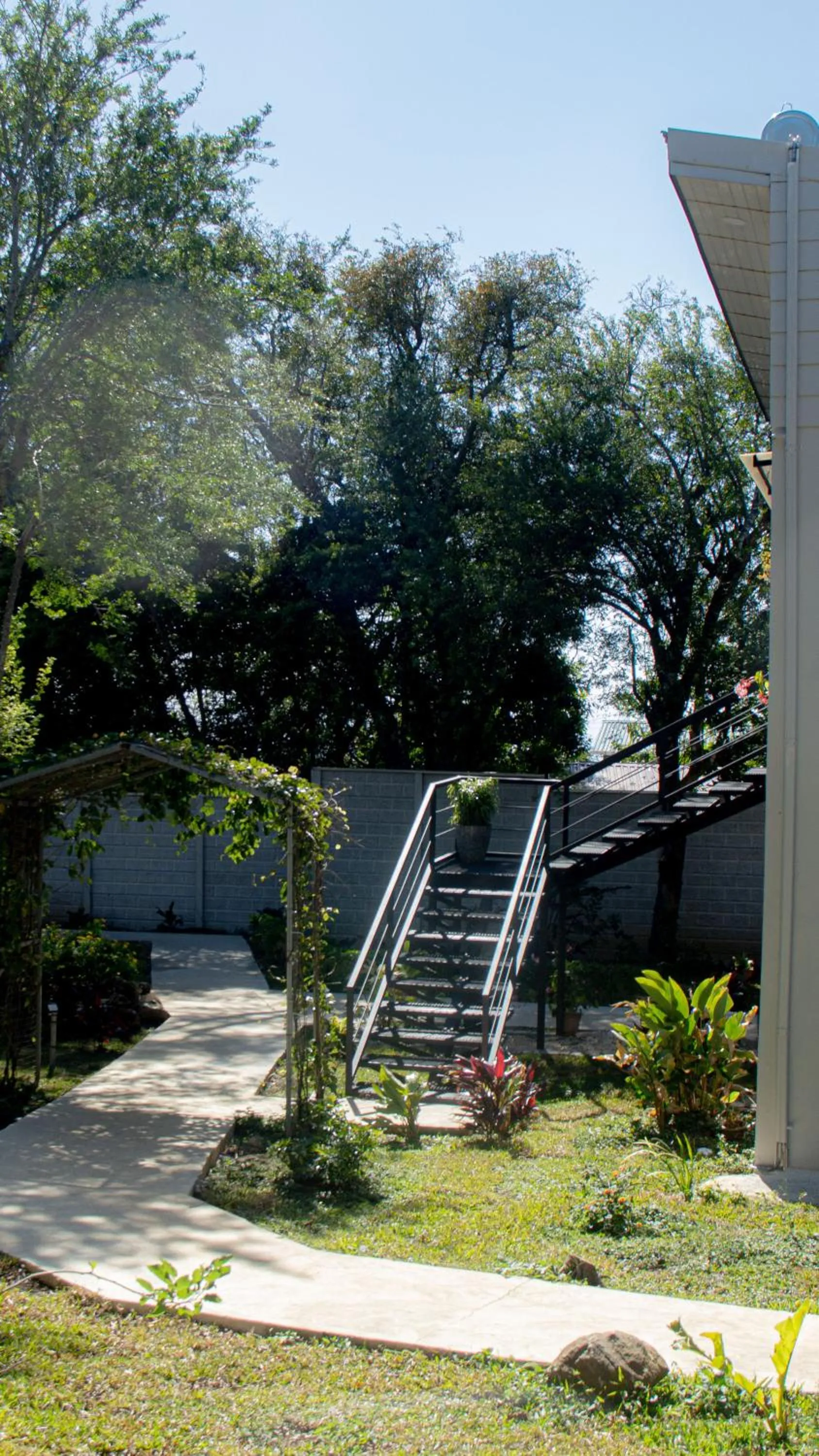 Patio in Calathea Hotel Monteverde