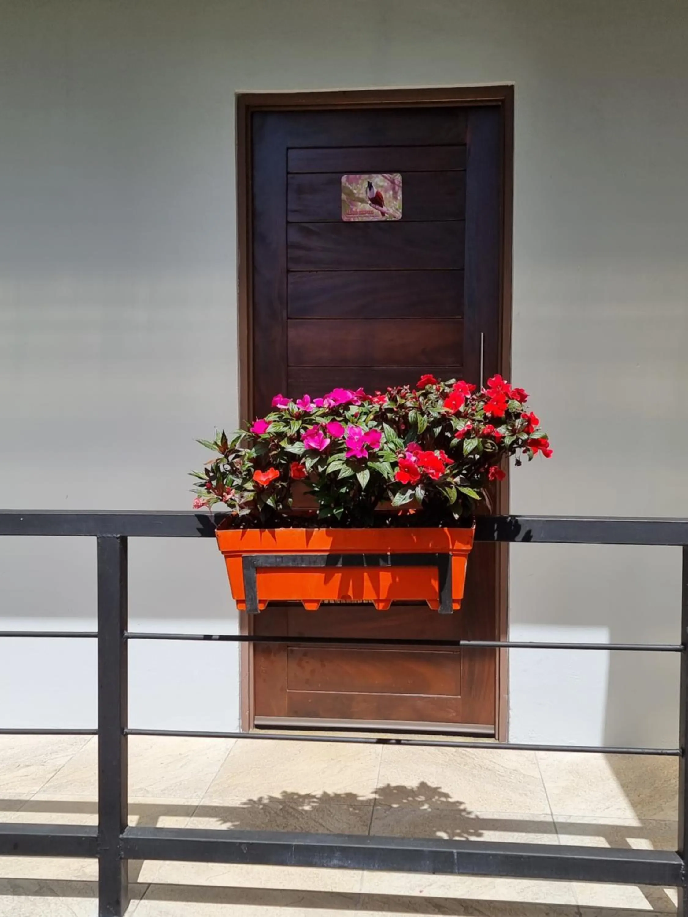 Property building in Calathea Hotel Monteverde