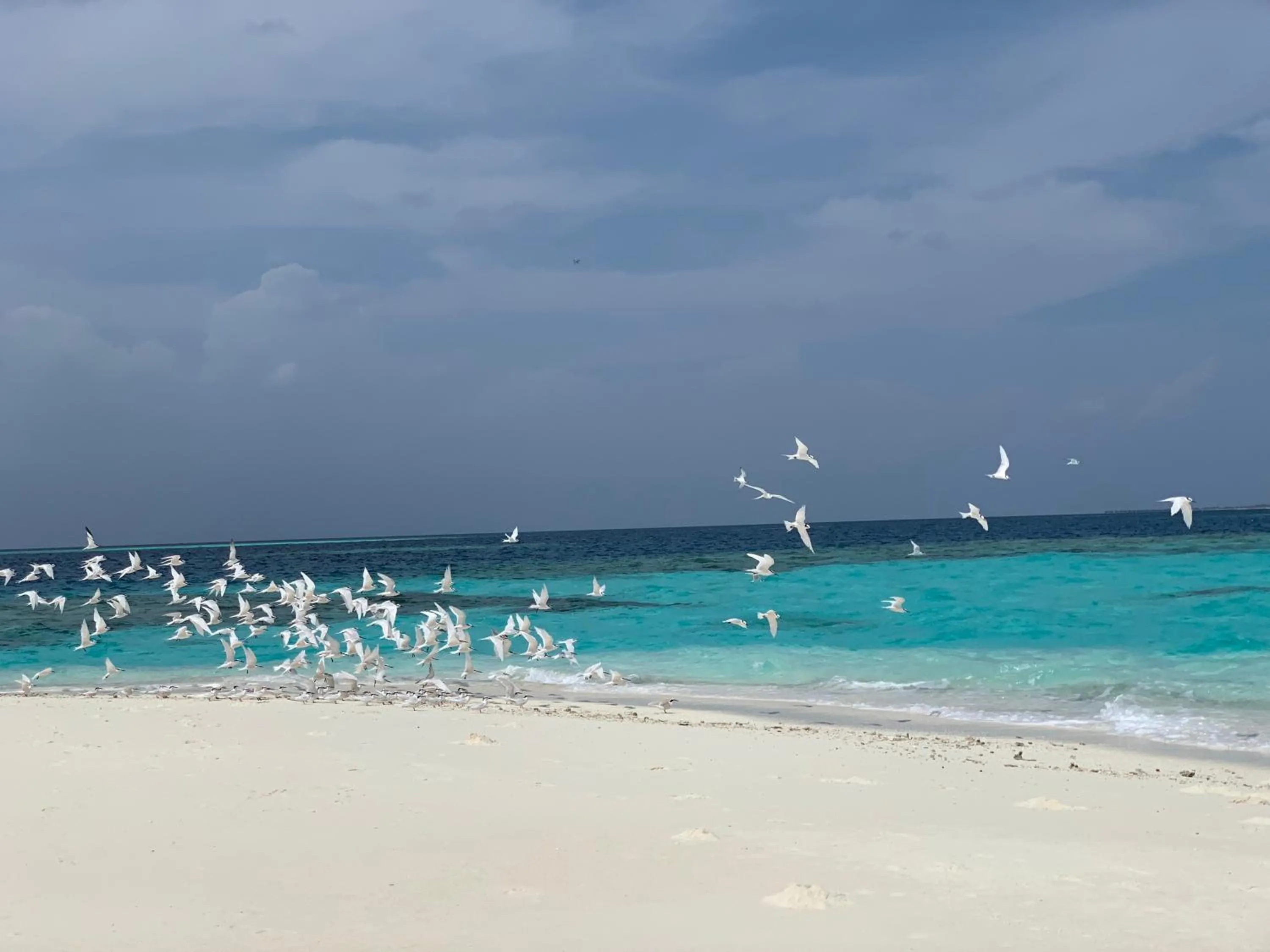 Natural landscape in PERLA Dhangethi