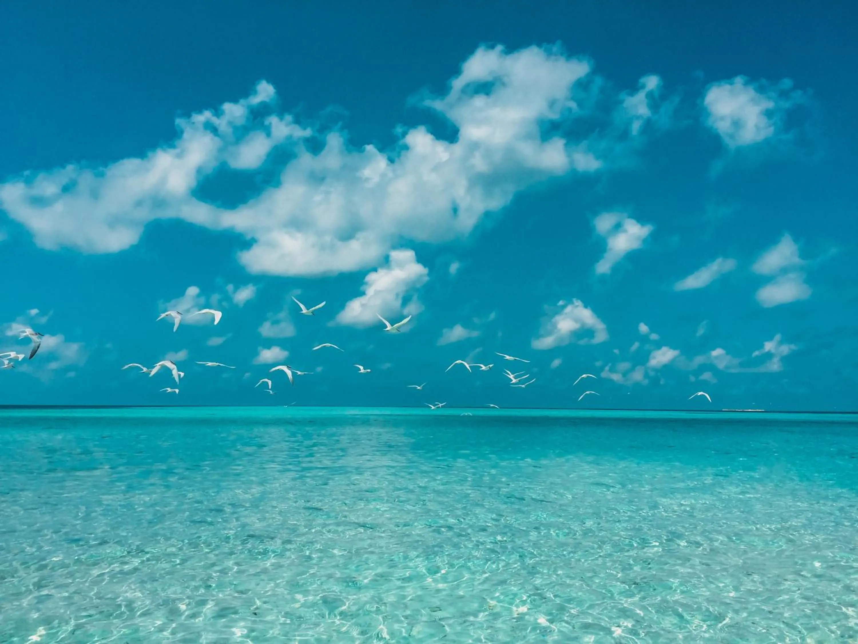 Natural landscape in PERLA Dhangethi