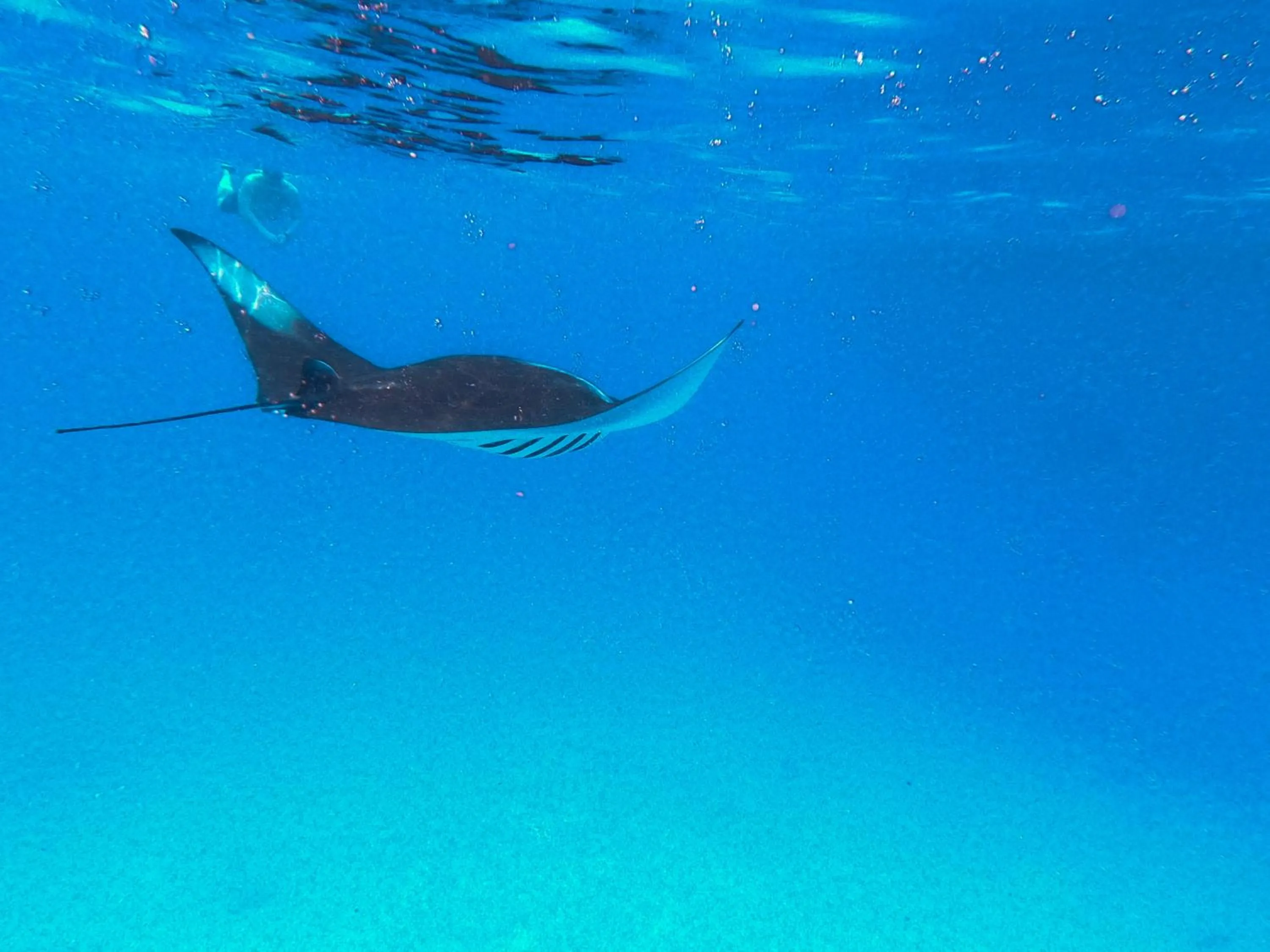 Activities in PERLA Dhangethi