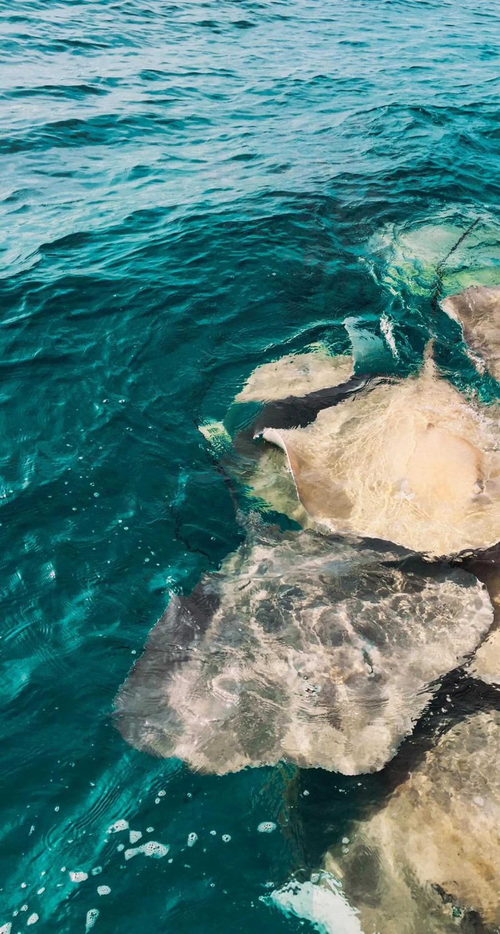 Natural landscape in PERLA Dhangethi