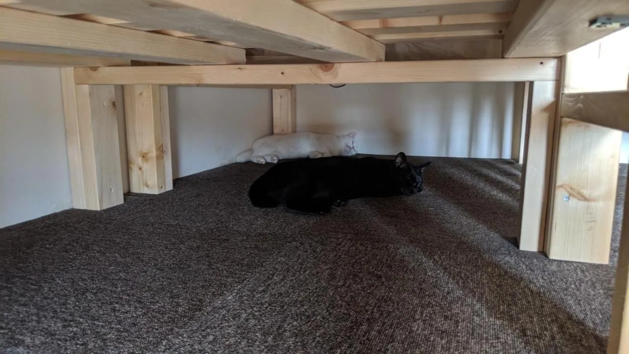 Bed in Mad Cat Hostel Osaka & Bar