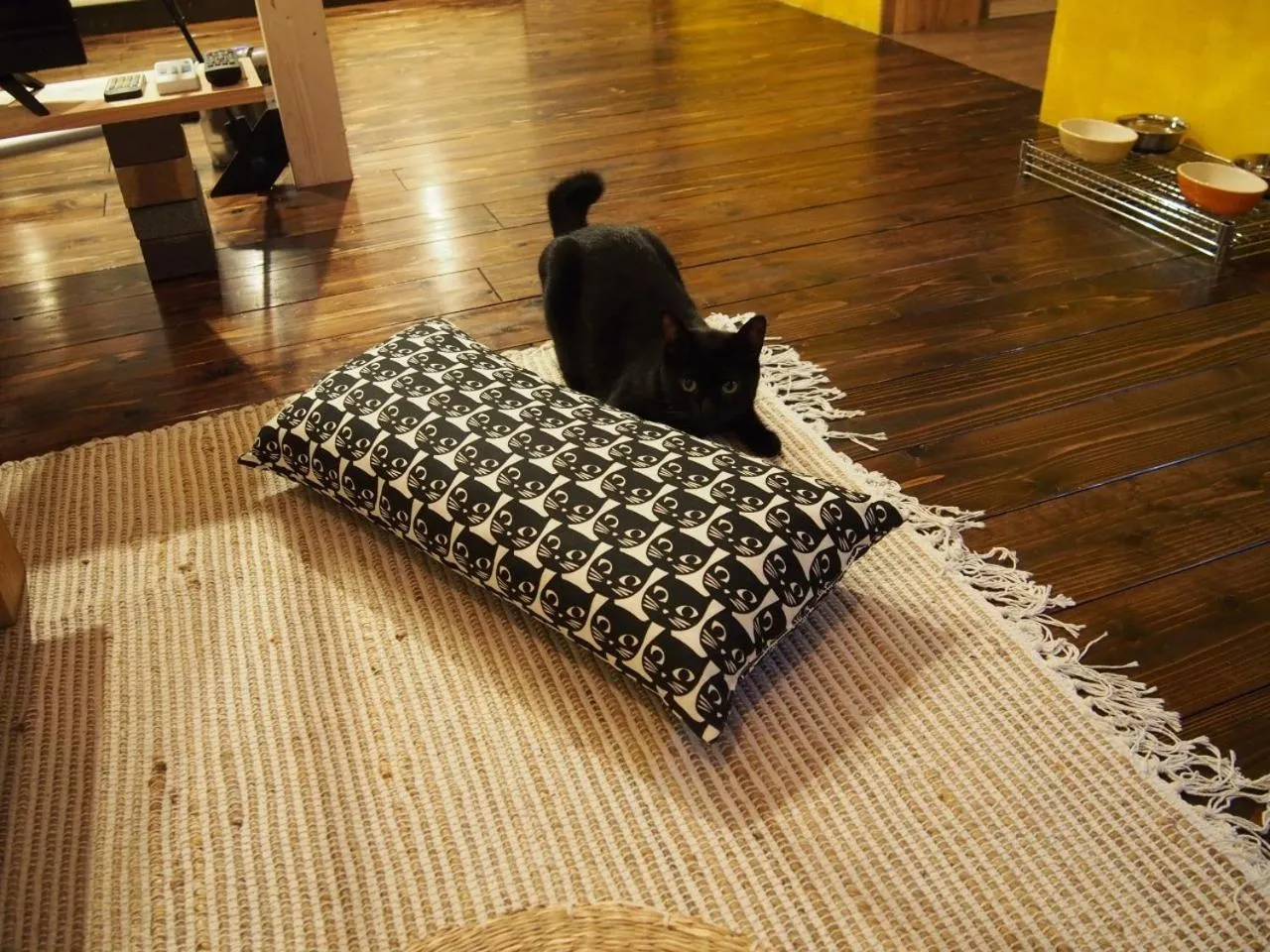 Mad Cat Hostel Osaka & Bar