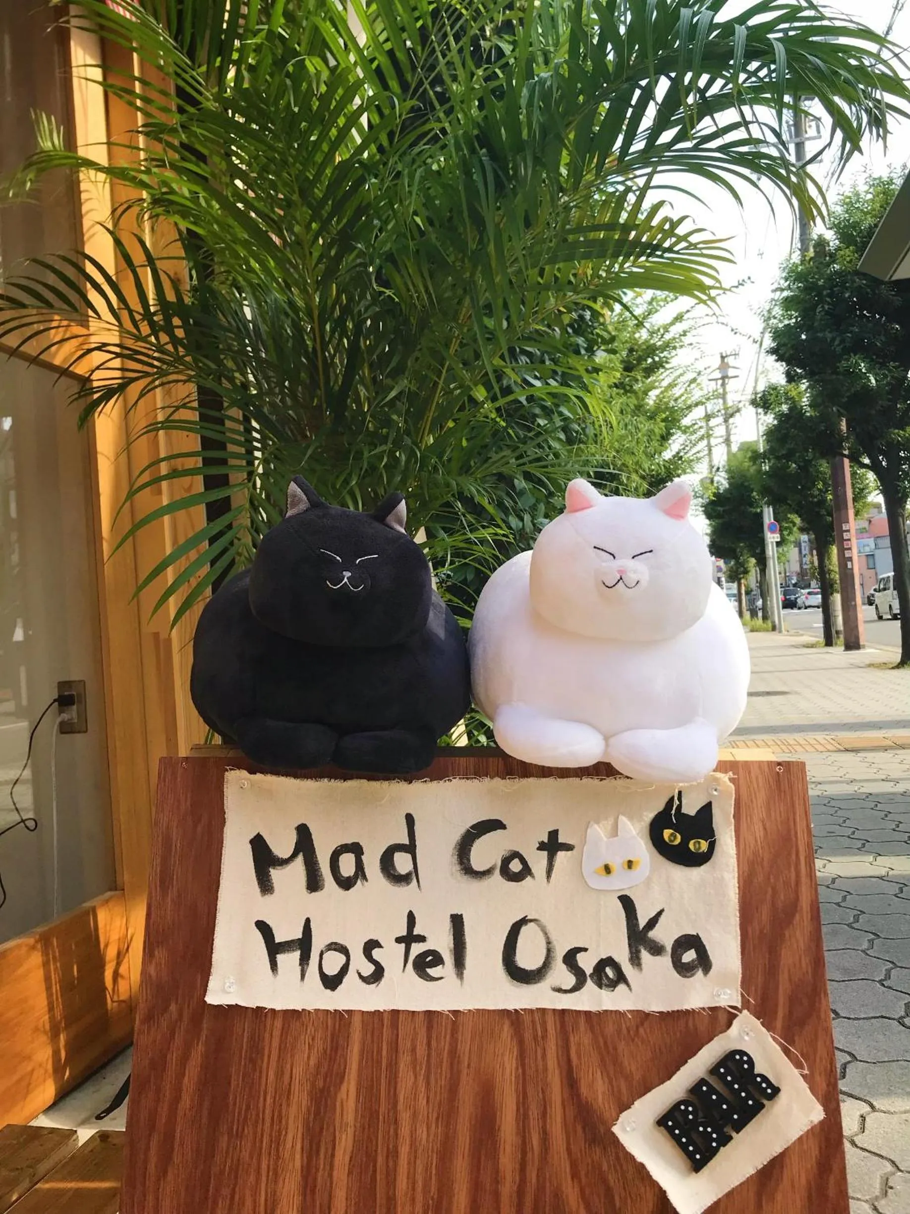 Mad Cat Hostel Osaka & Bar