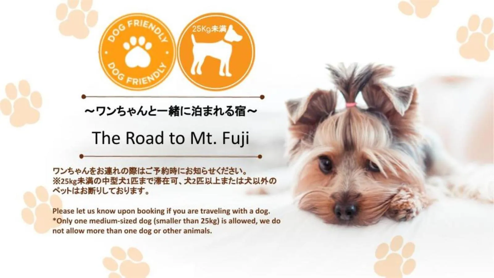 pet friendly in The road to Mt.Fuji