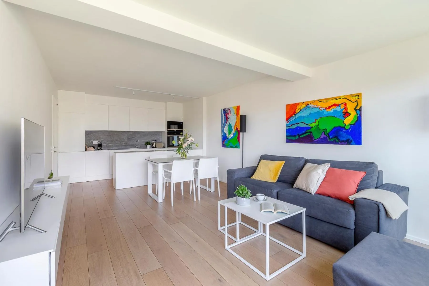 TV and multimedia in Sasso Boretto, Luxury Holiday Apartments