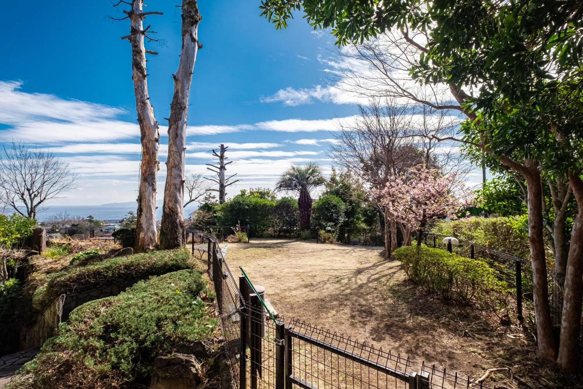 Pet & Spa Hotel Izukogen