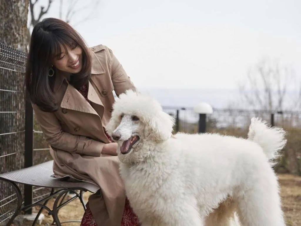 Pet & Spa Hotel Izukogen