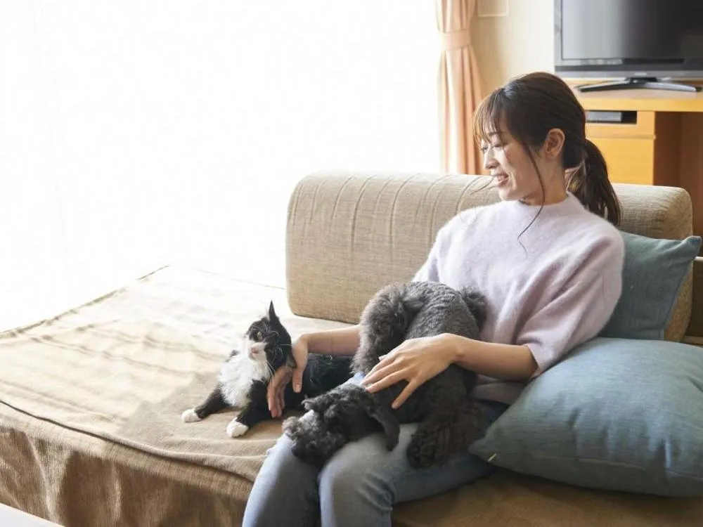 Pet & Spa Hotel Izukogen