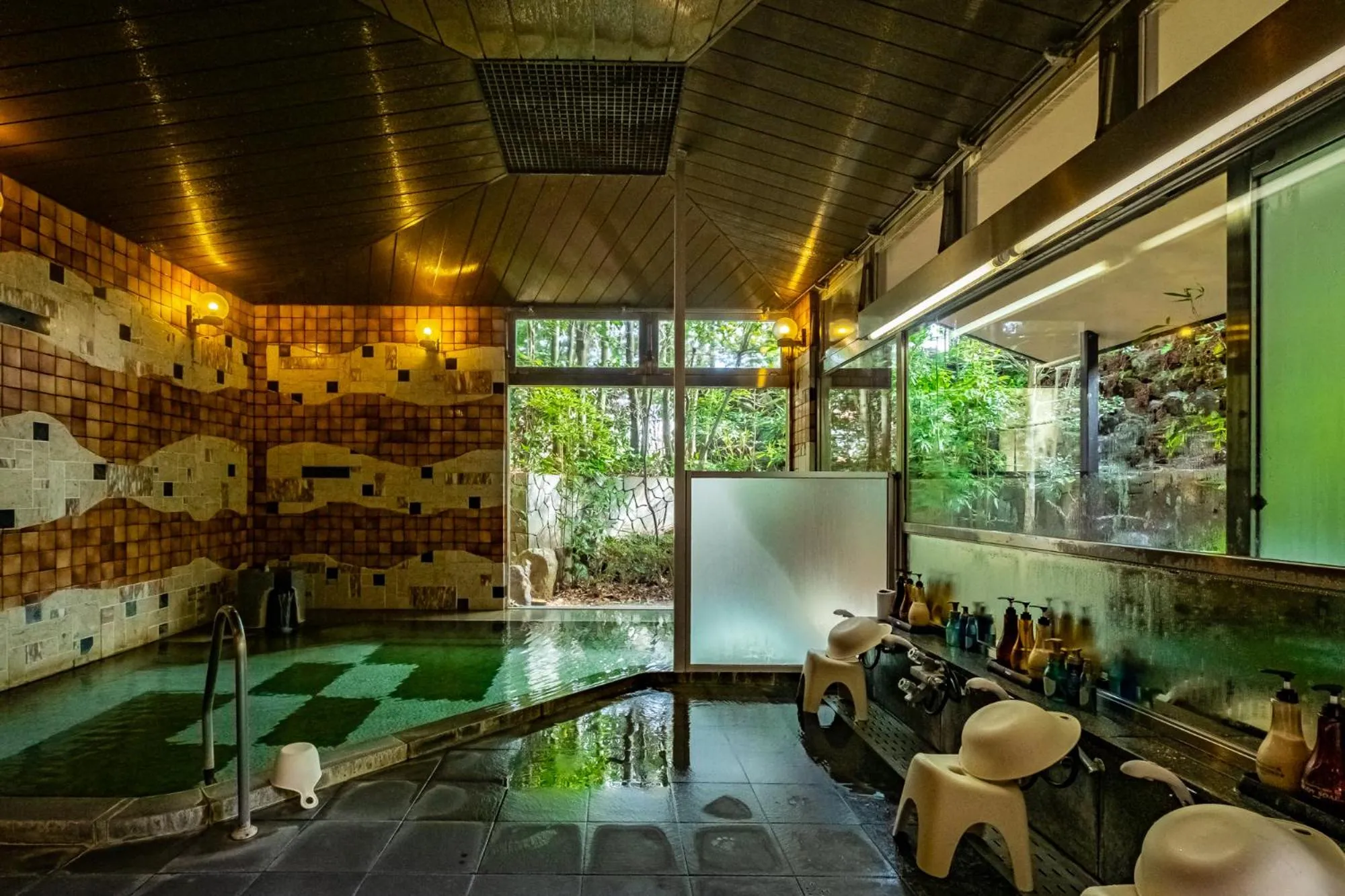 Spa and wellness centre/facilities in Pet & Spa Hotel Izukogen