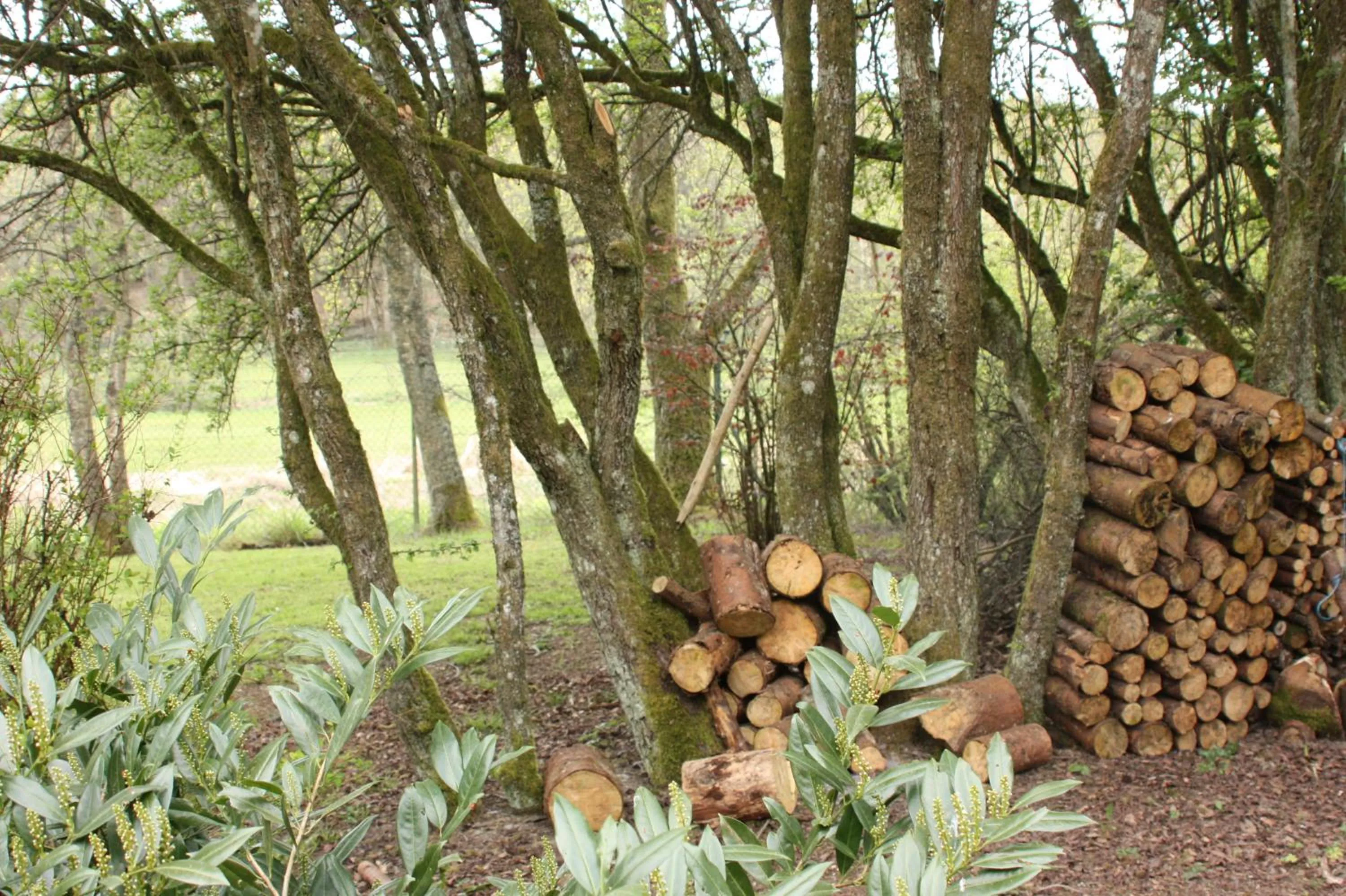 Bedroom in Le Repere du Cerf