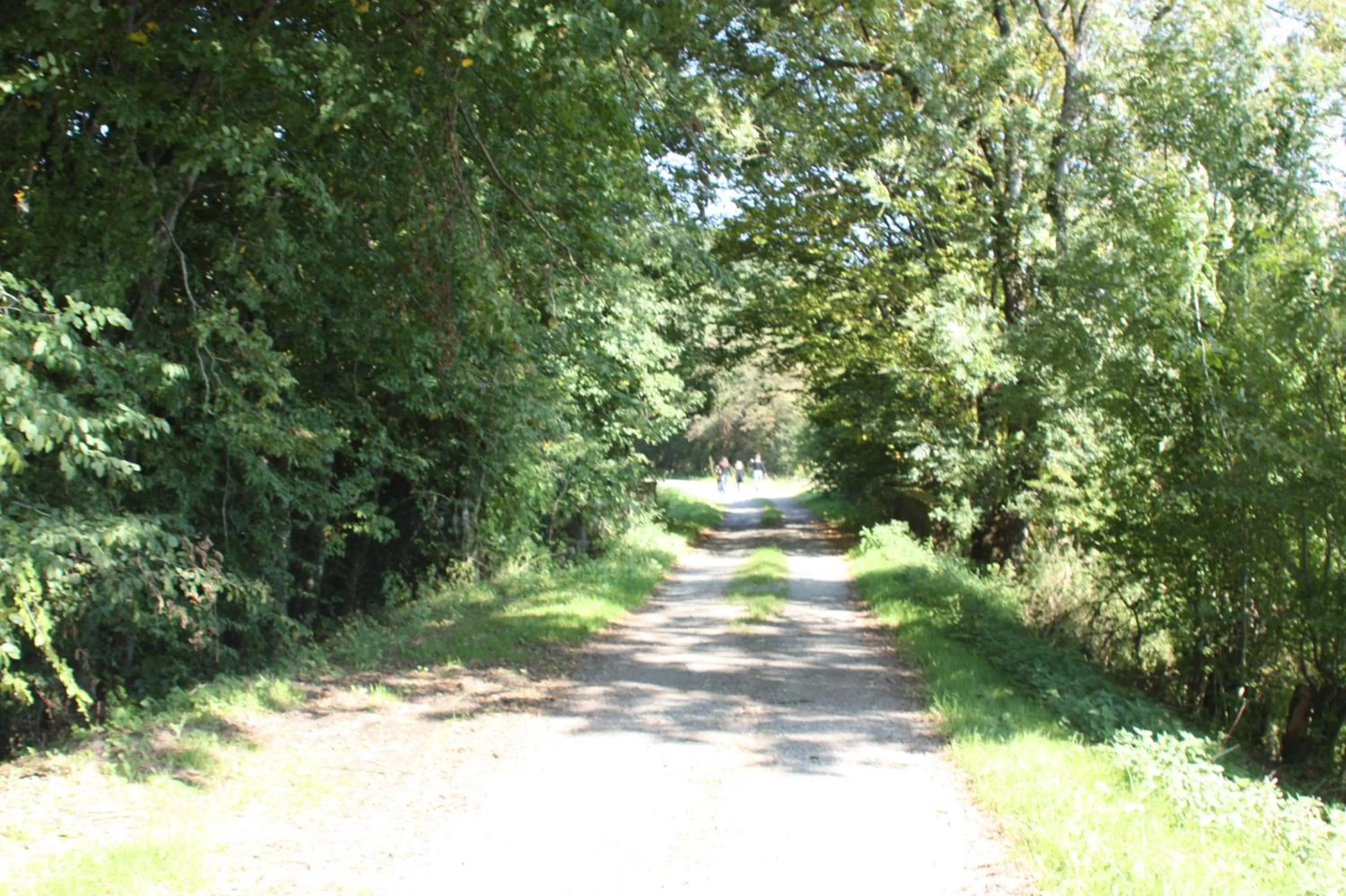 Bedroom in Le Repere du Cerf