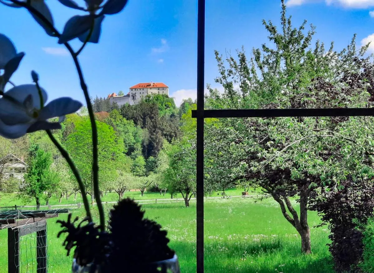 Deerwood Holiday Cozy Retreat 2br Apartment with Stunning Castle Views
