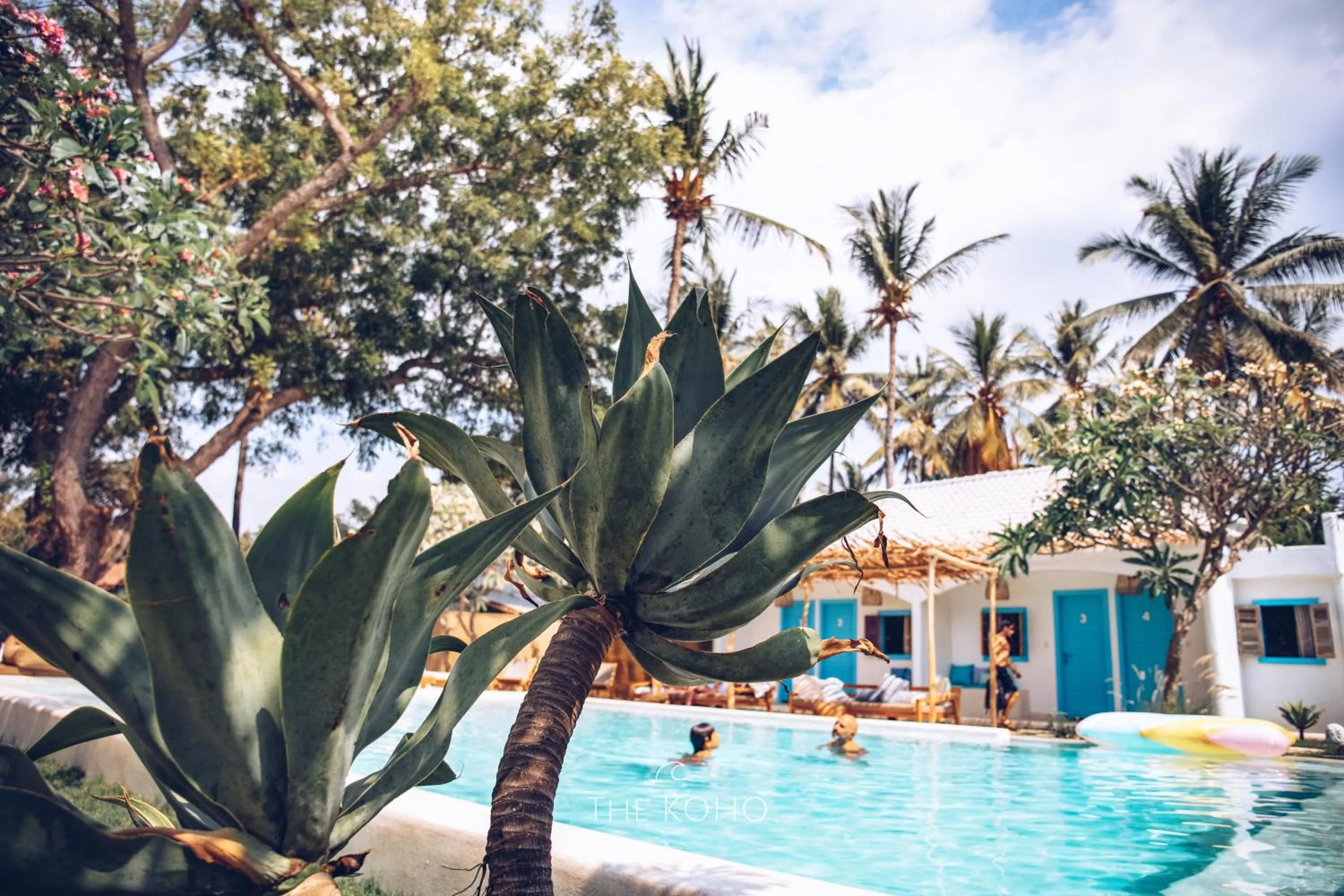 Day in The Koho Air Hotel