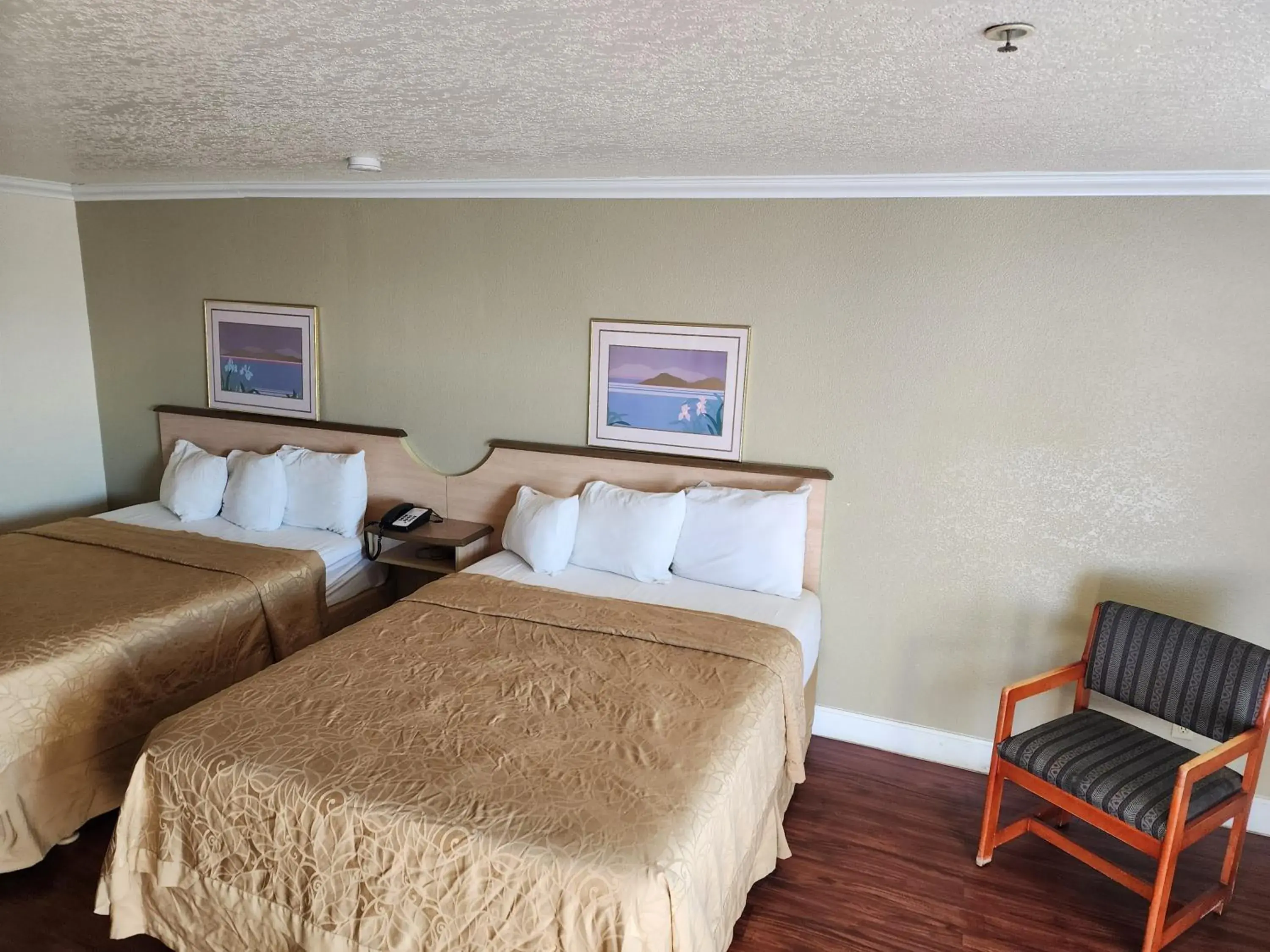 Bed in Budget Inn Bed in Budget Inn