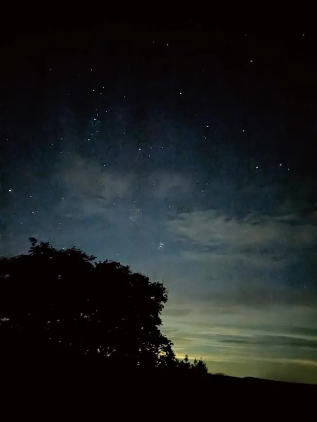 Night in Long Wood Lodges