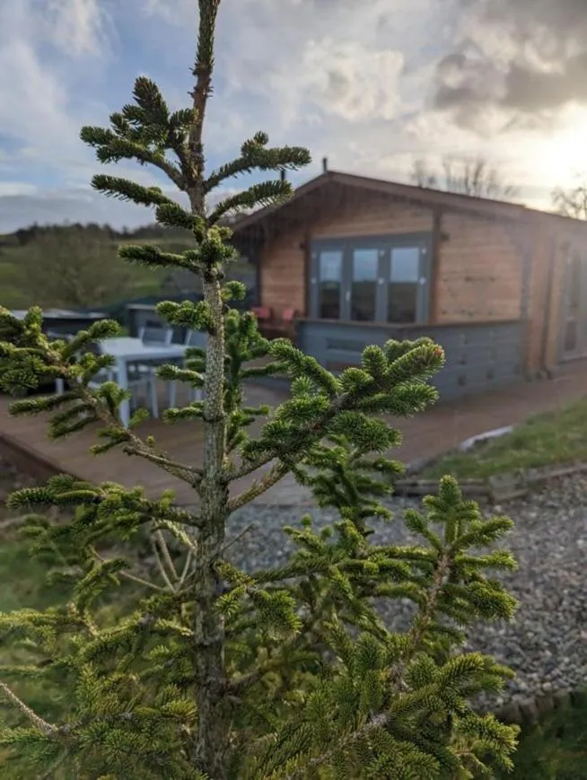 Property building in Long Wood Lodges