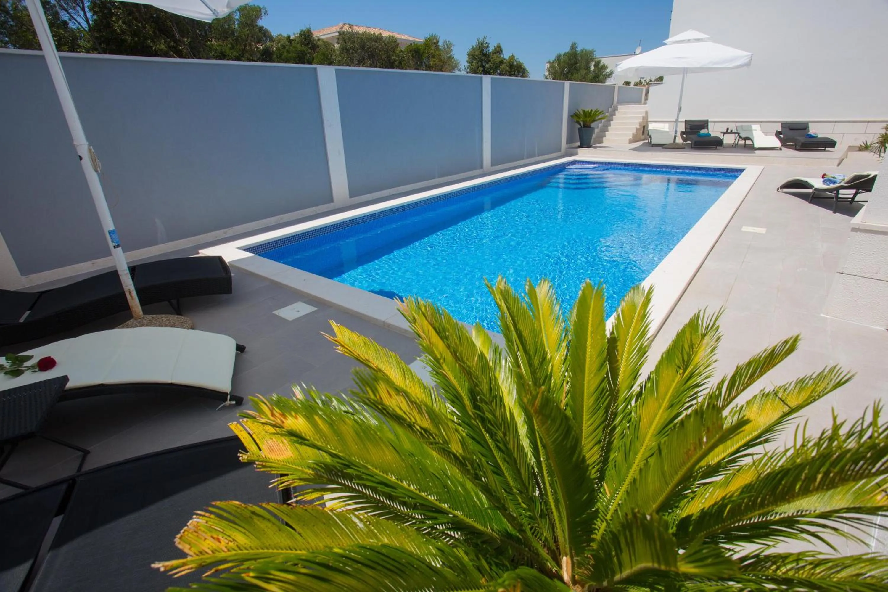 Summer in Hotel Paradise Punta