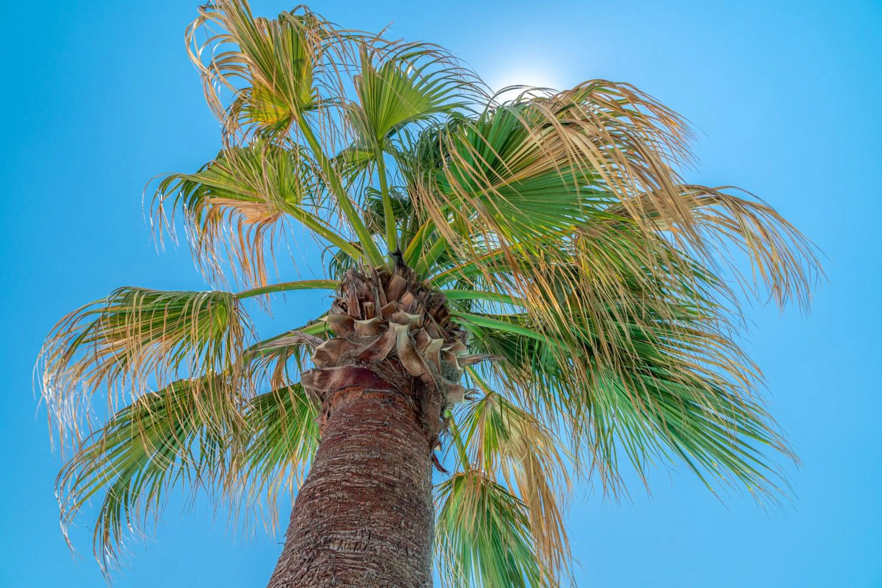 Natural landscape in Omnia Mykonos Boutique Hotel & Suites