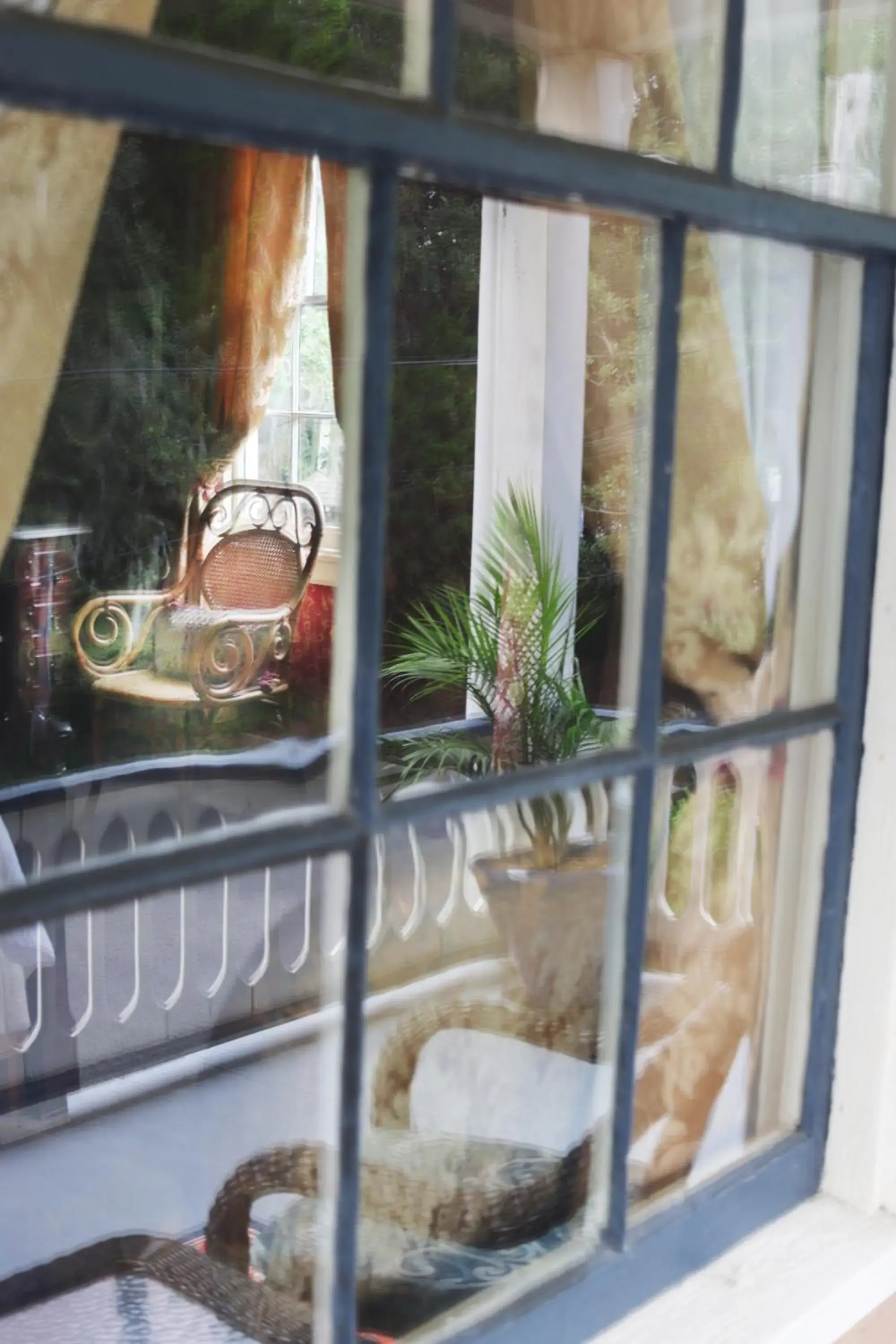 Amelia Island Williams House Amelia Island Williams House