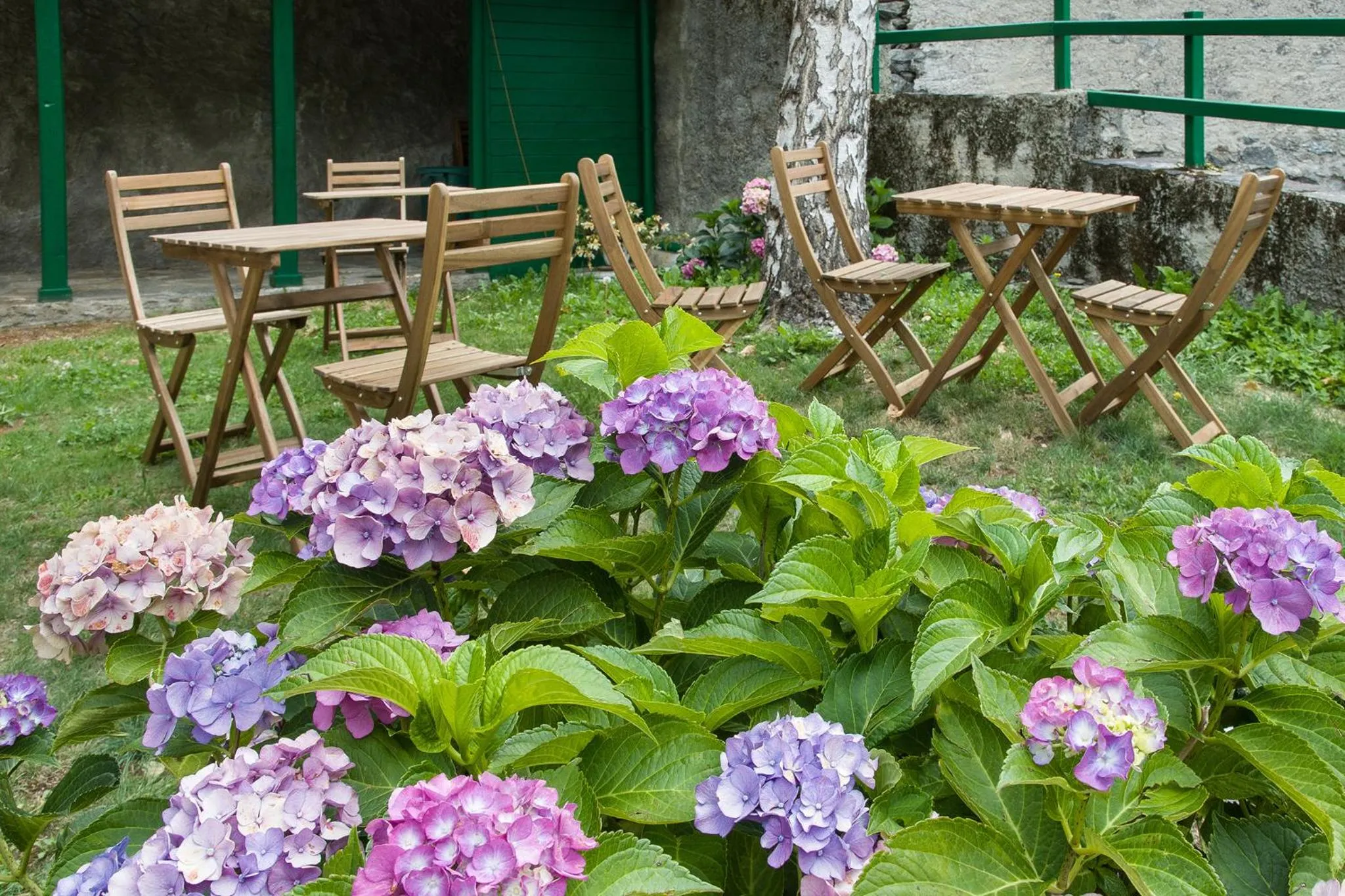 Garden in Ca’d’ambra